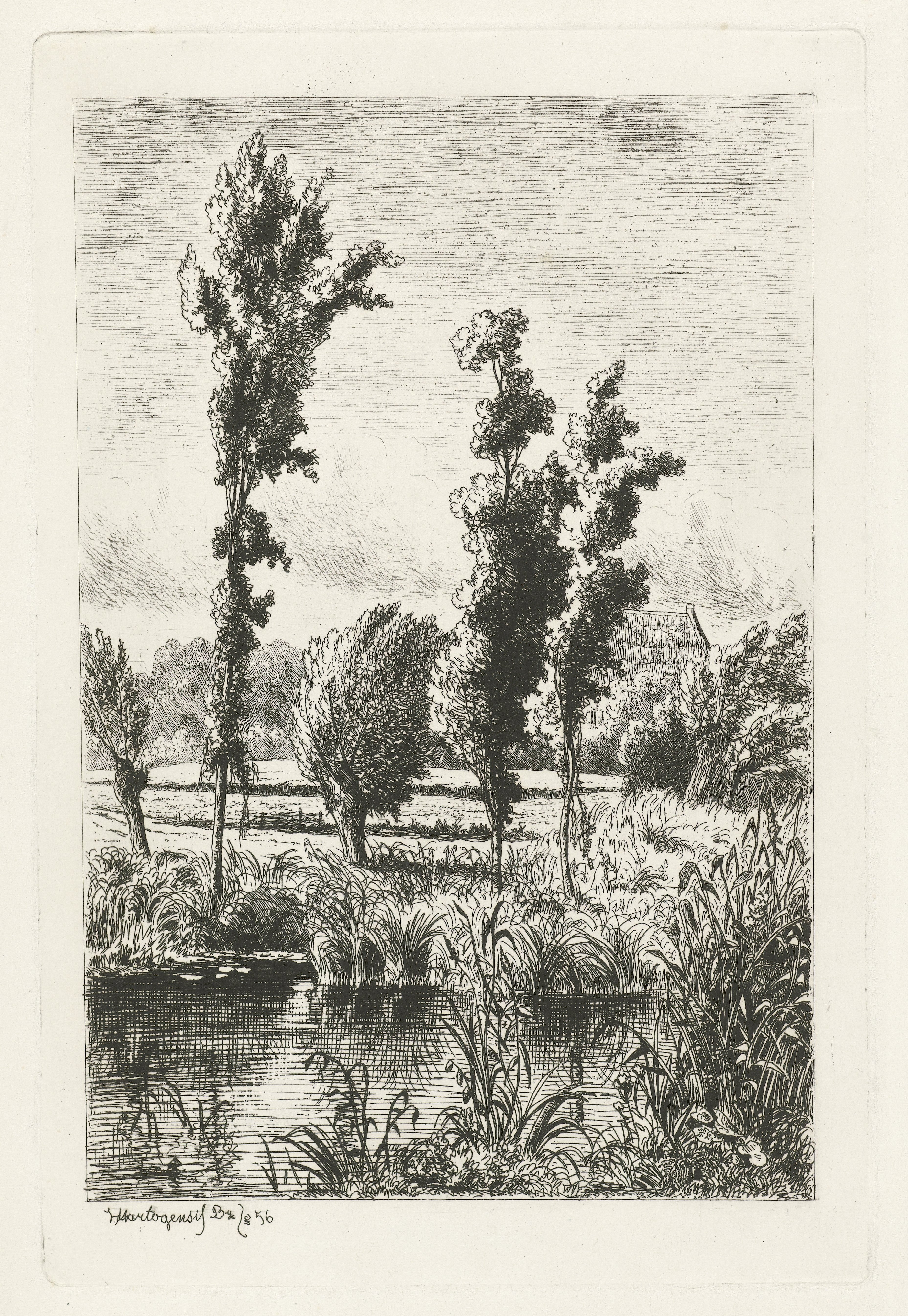 Bomen aan een sloot