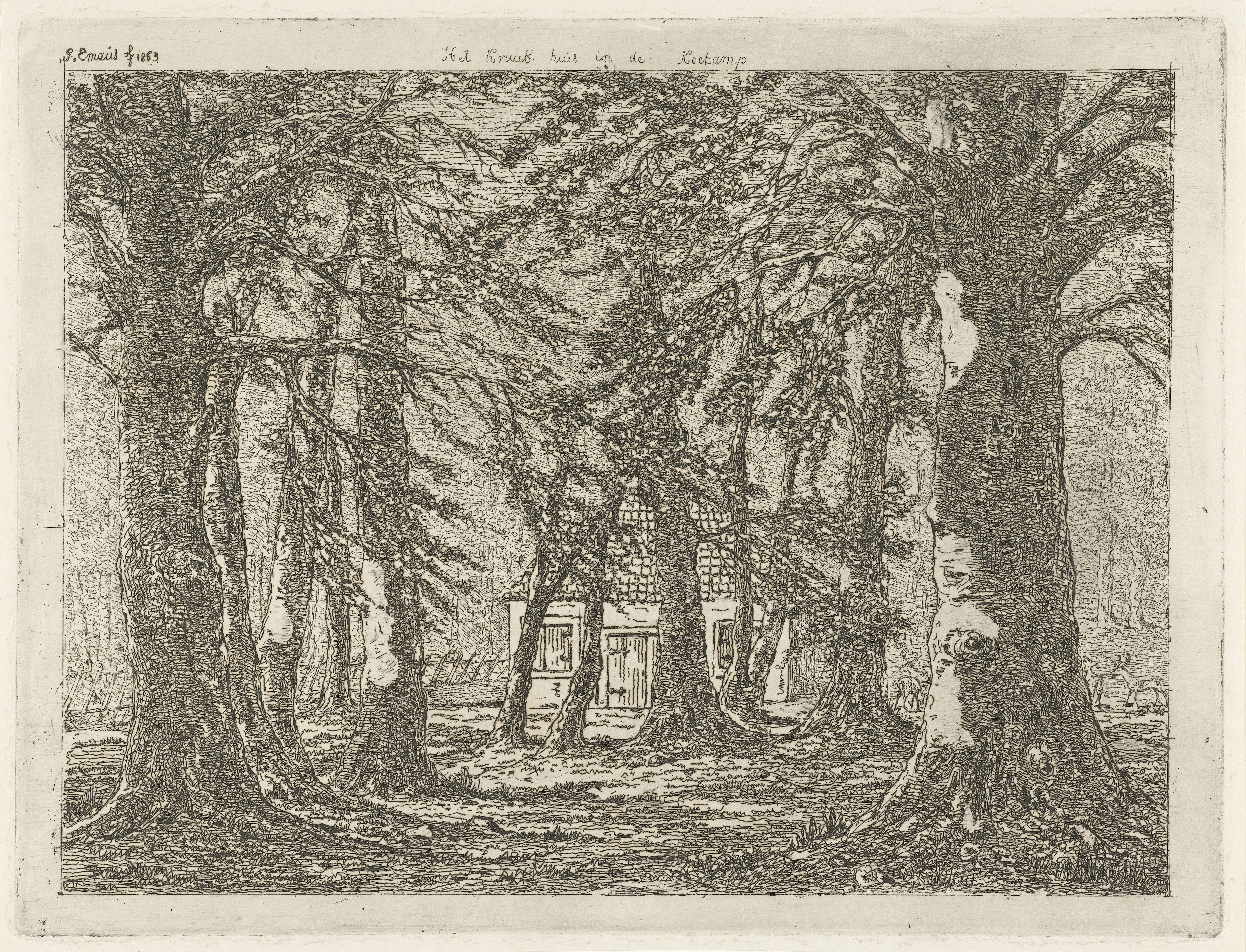 Huis in het bos