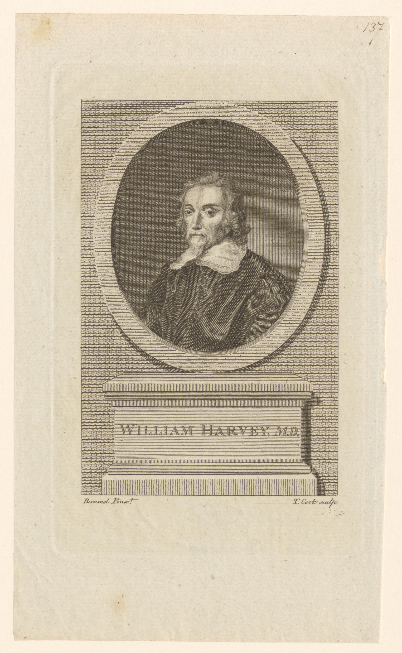 Portret van William Harvey