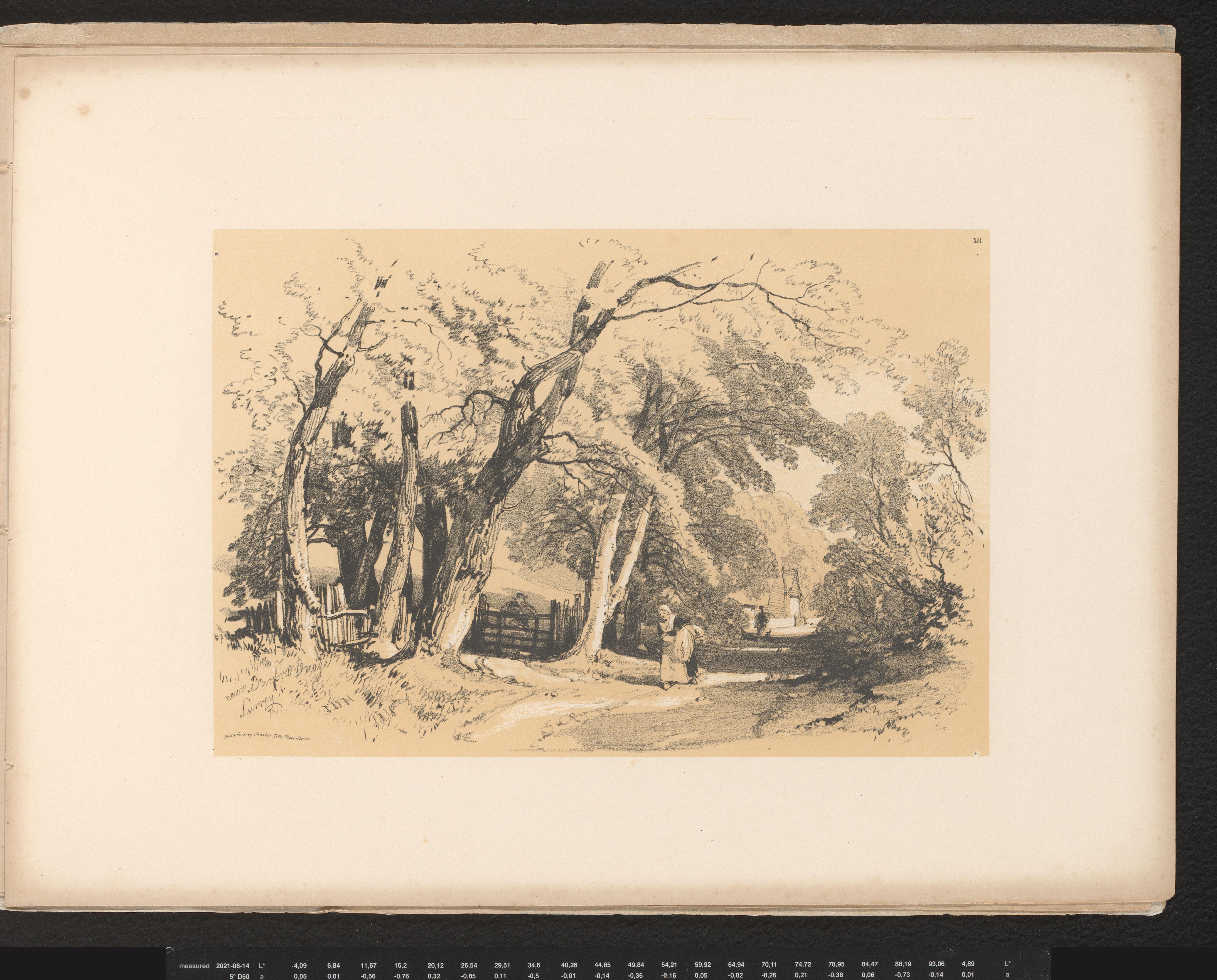 Landweg met figuren nabij Burford bridge