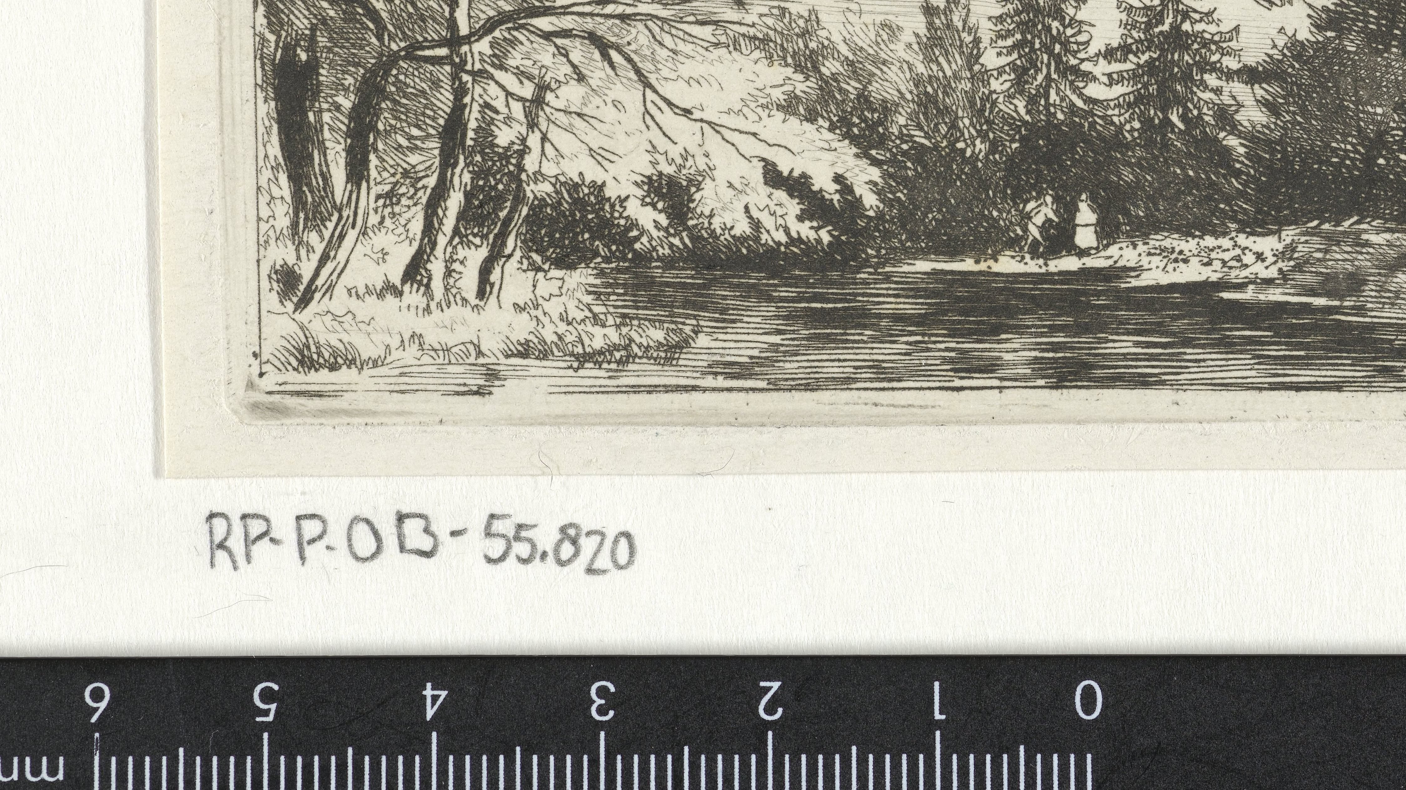 Boslandschap