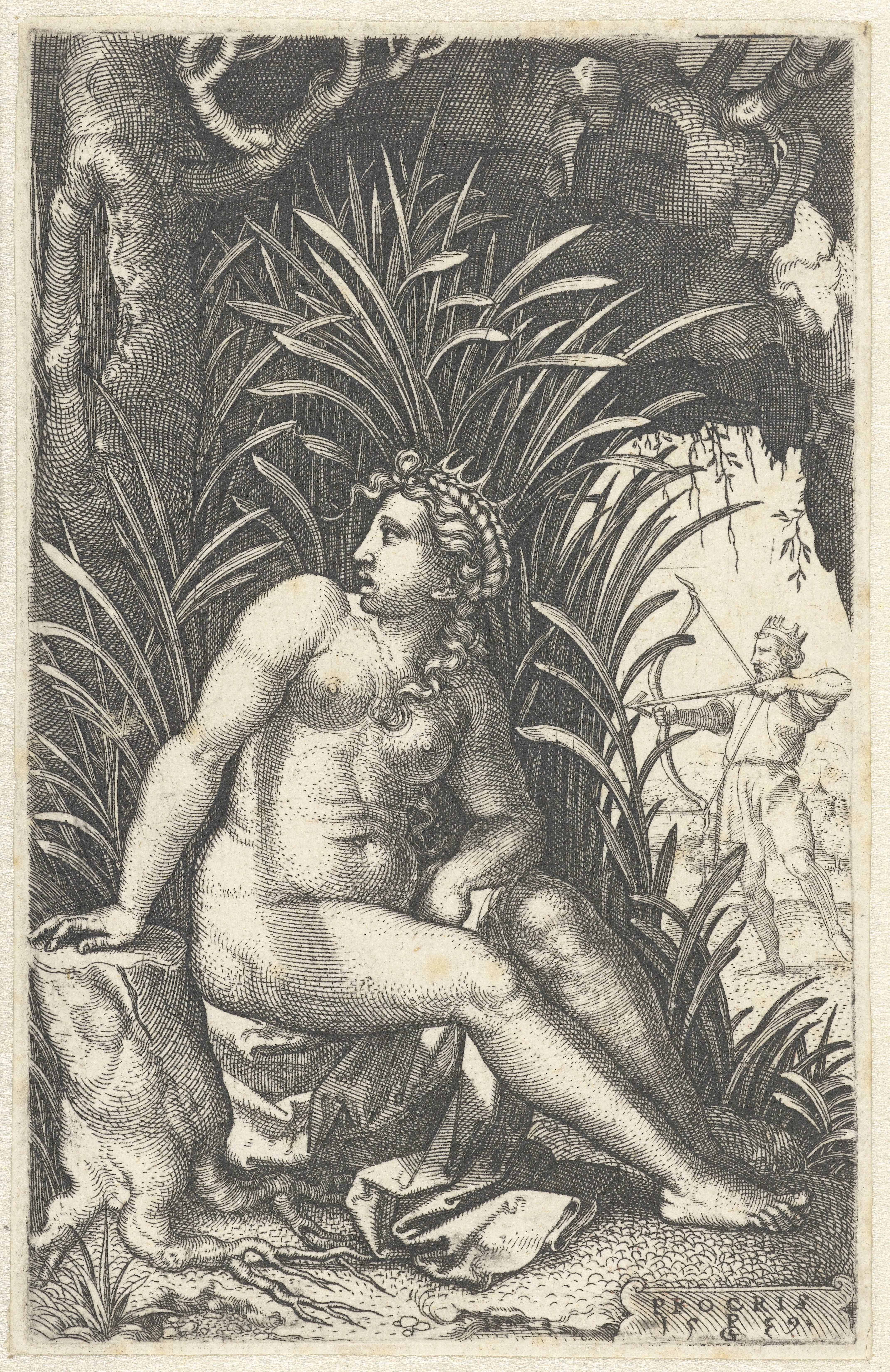 Procris bespiedt Cephalus