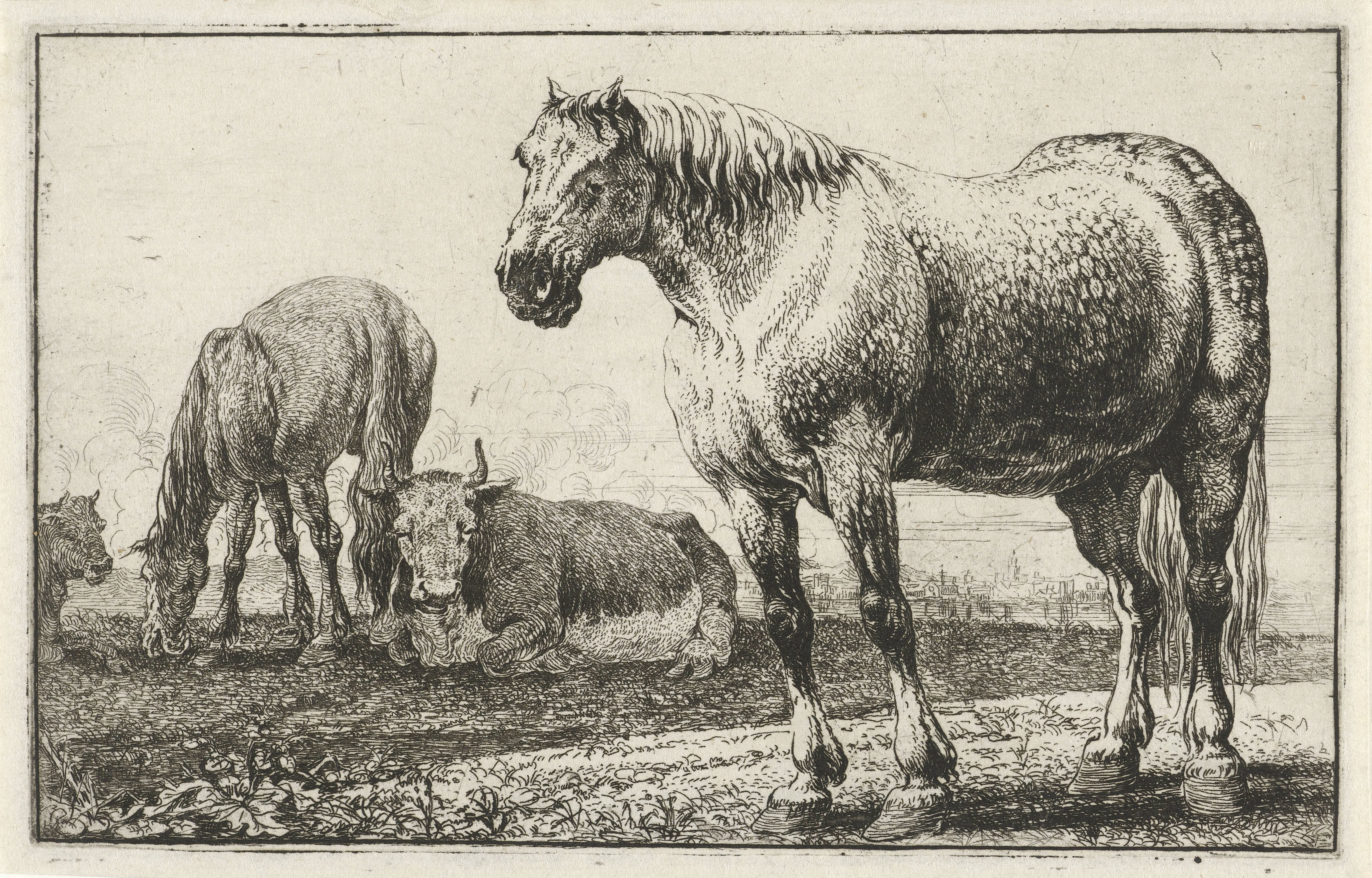 Paarden en koeien