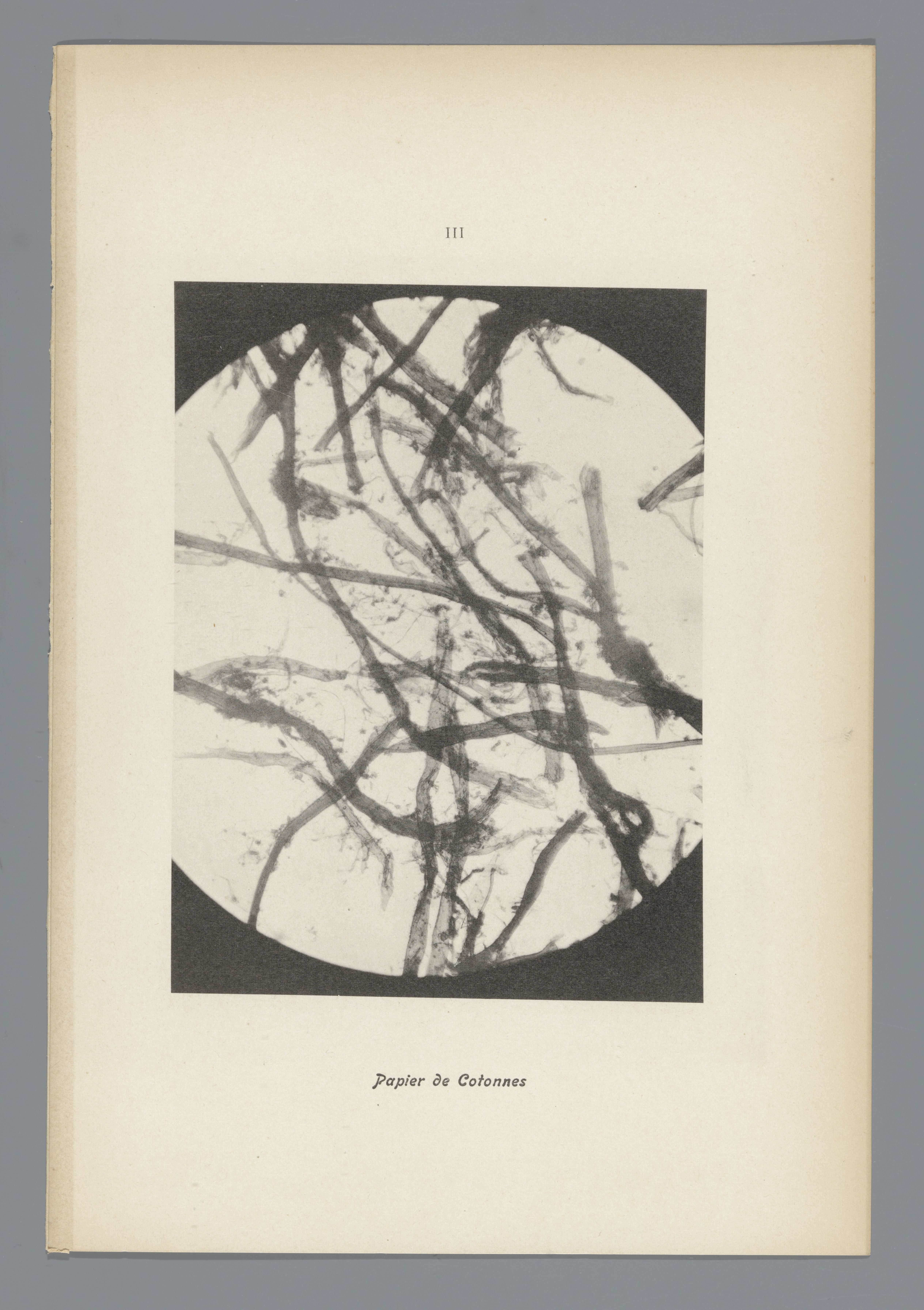 Microfoto’s van papiervezels