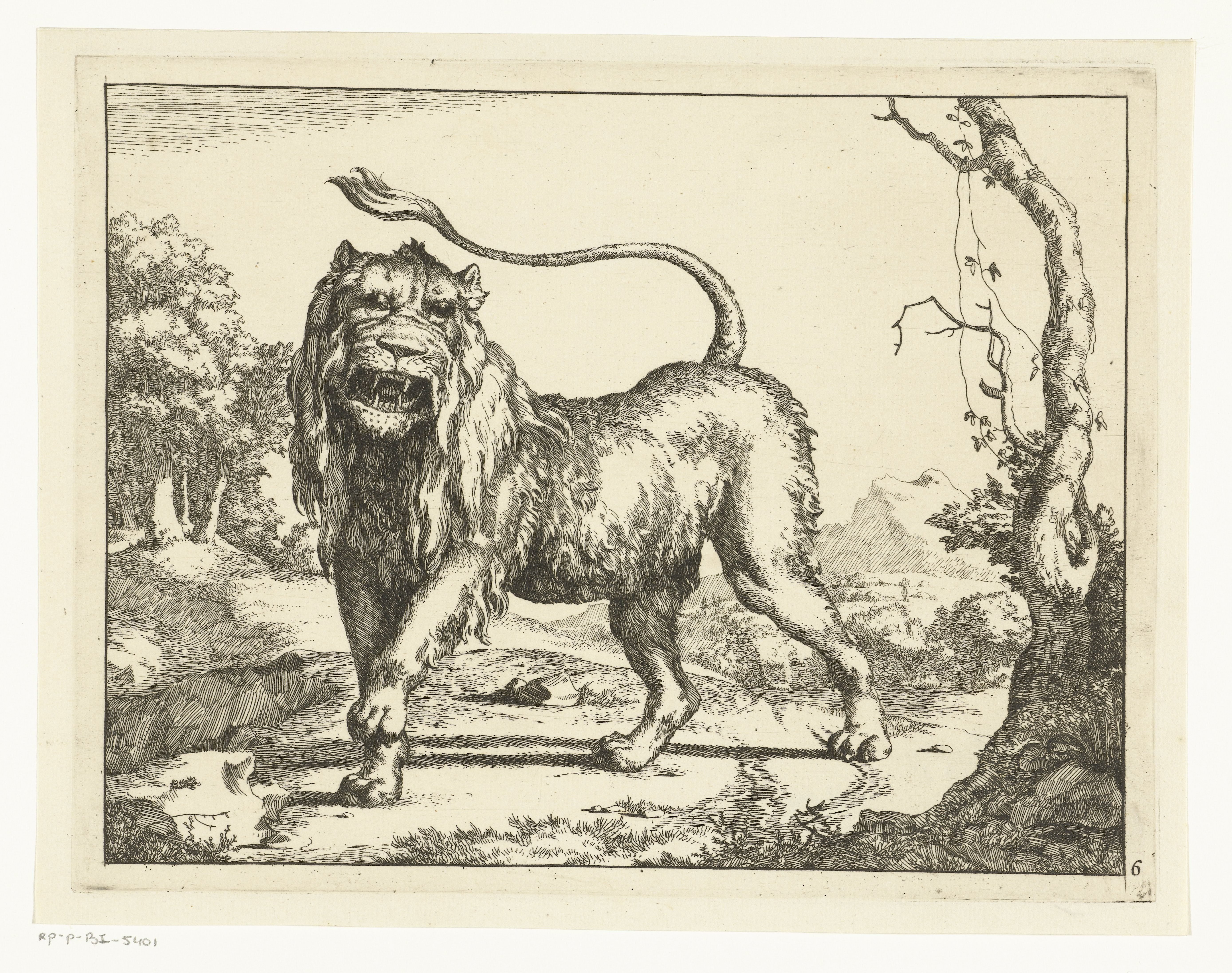 Brullende leeuw, de staart in de lucht
