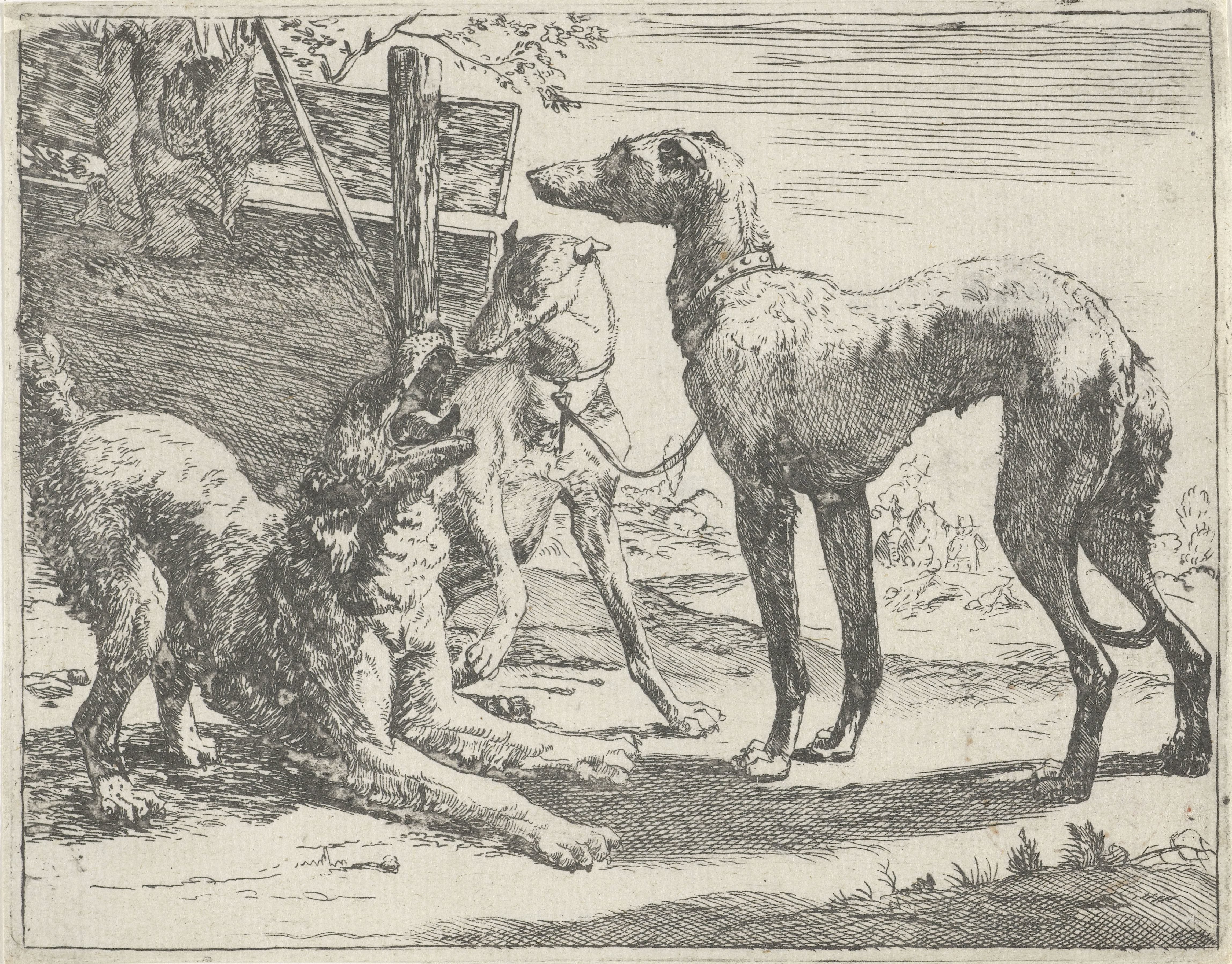 Pauwels van Hillegaert