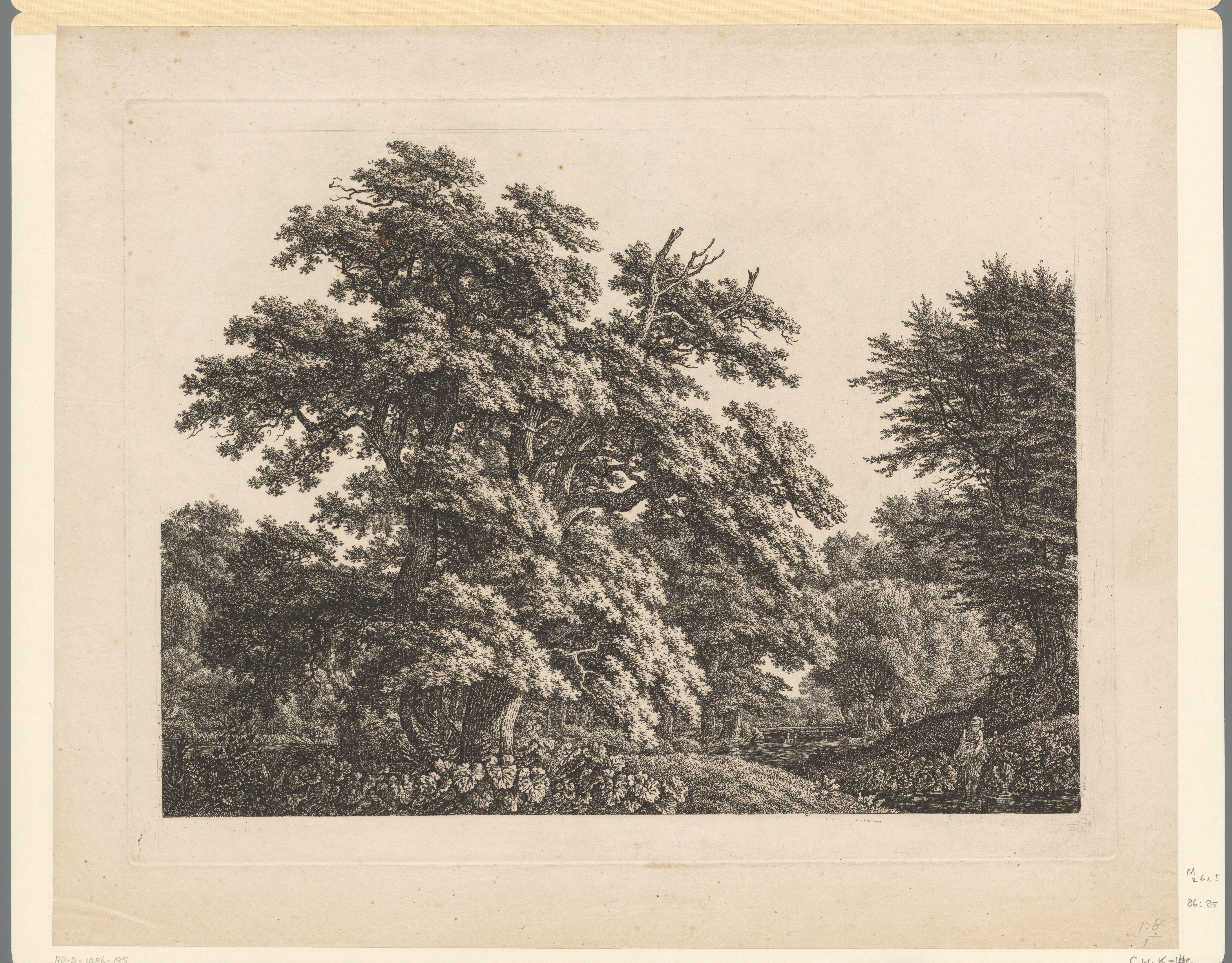 Bosrijk landschap met meisje dat in het water staat