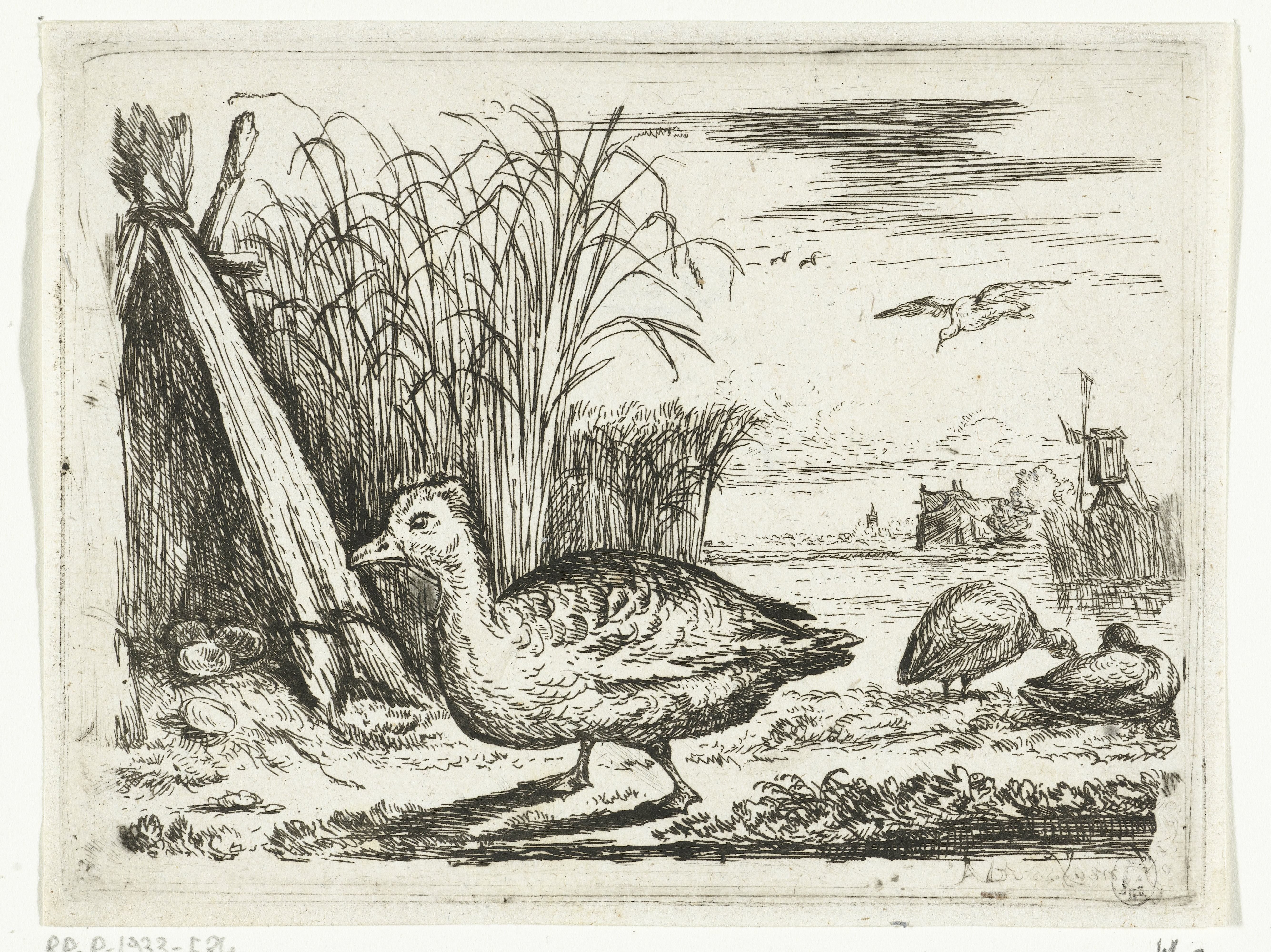 Eendennest