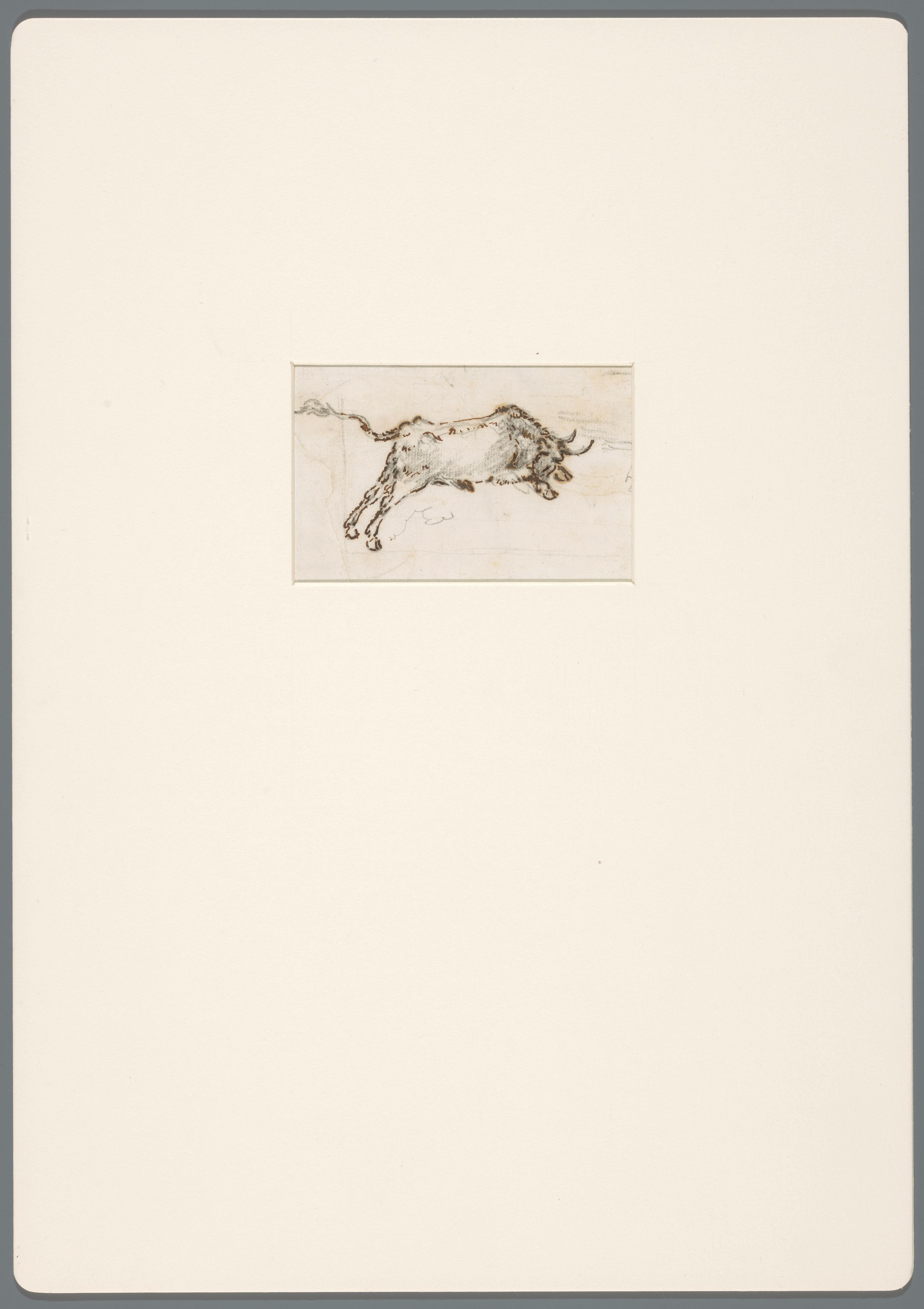 Stier in galop in de aanval