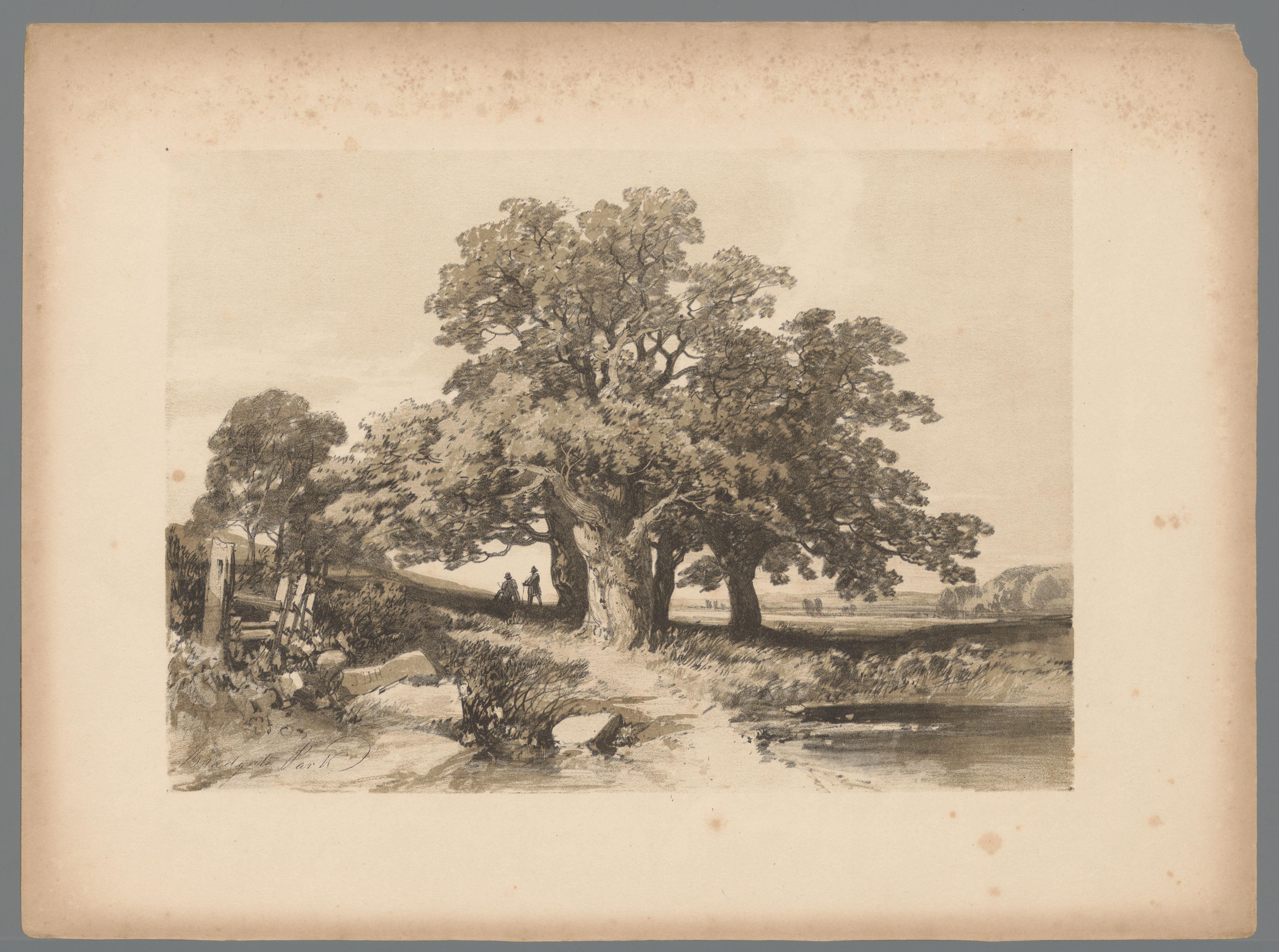 James Duffield Harding