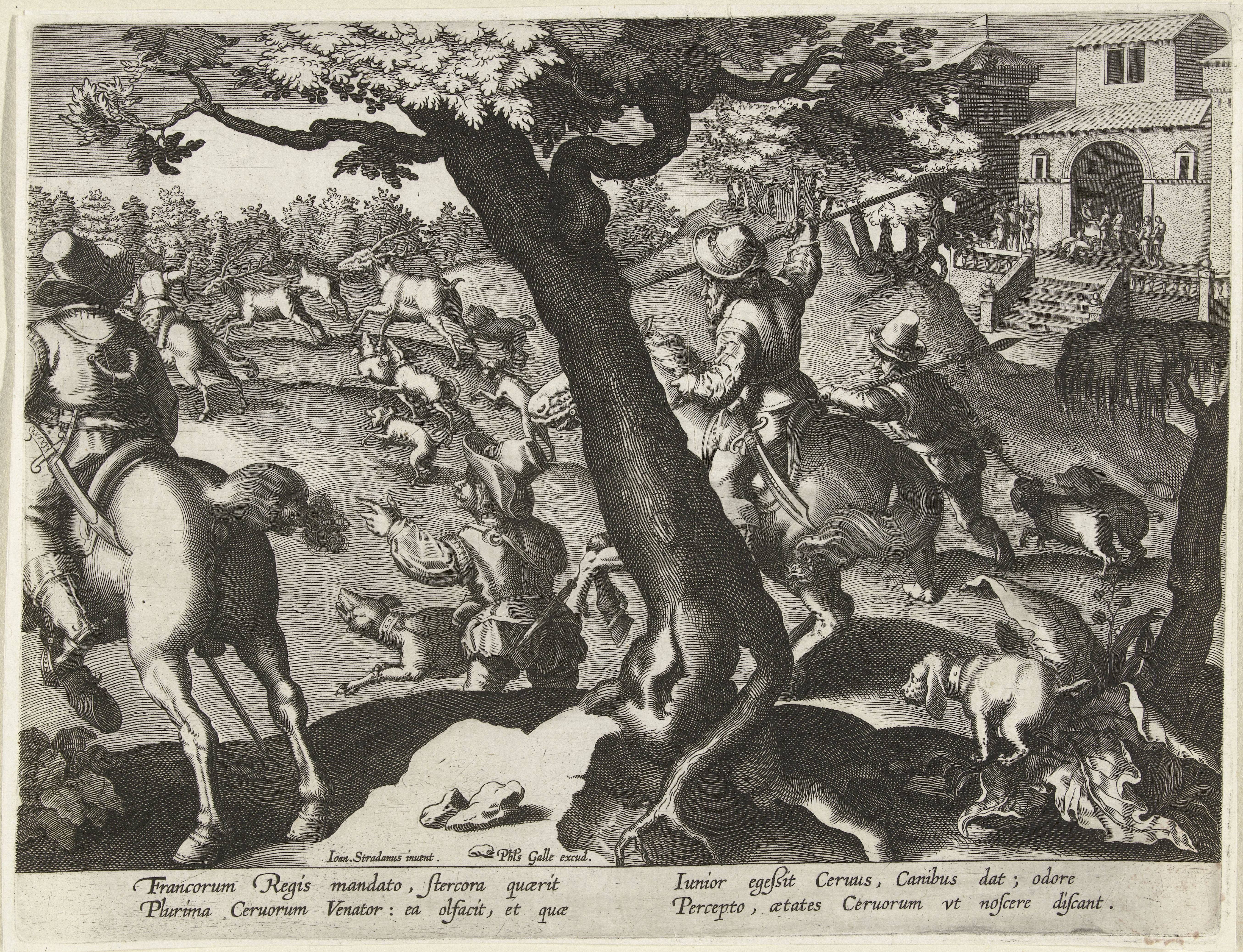 Hertenjacht met honden