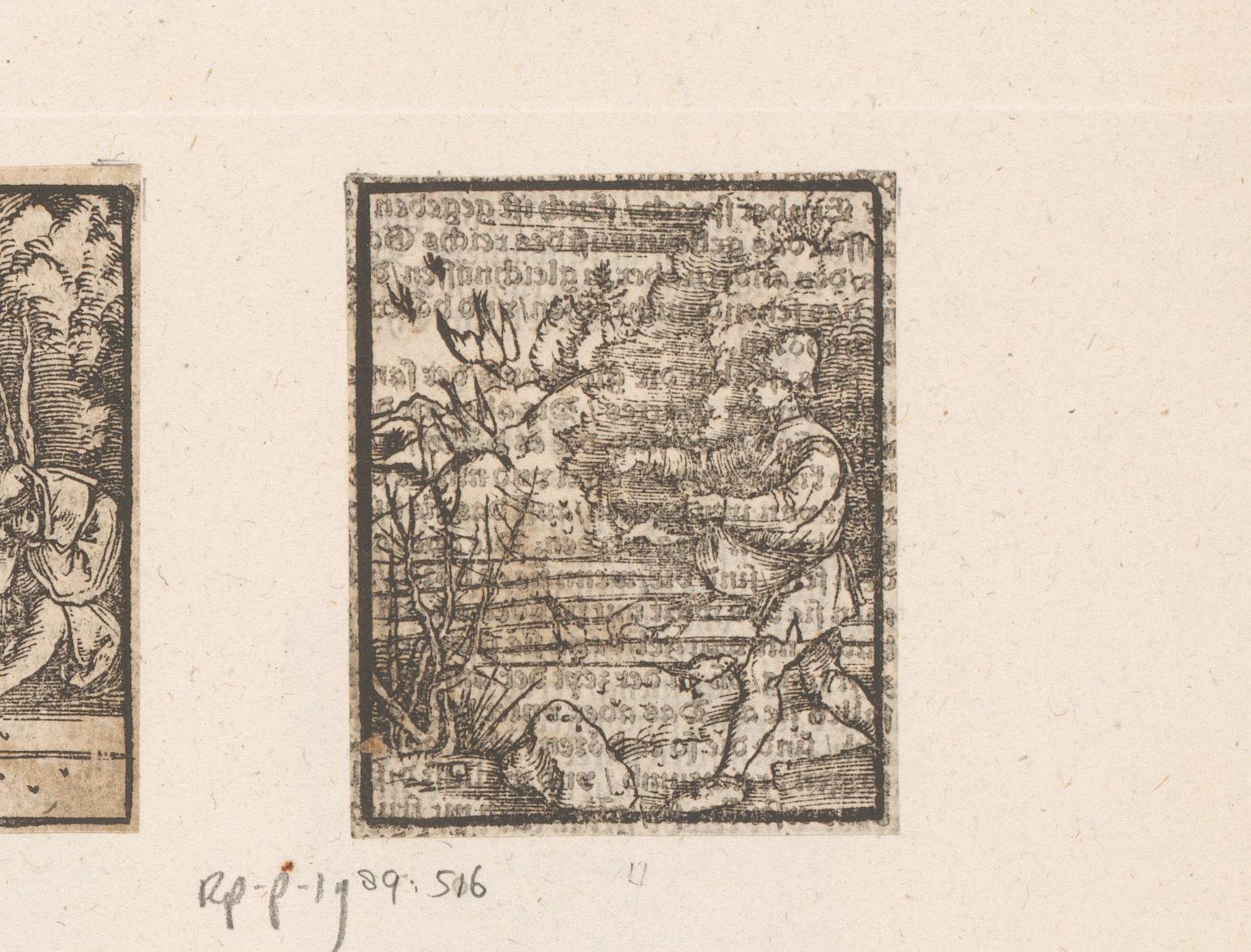 Parabel van de zaaier