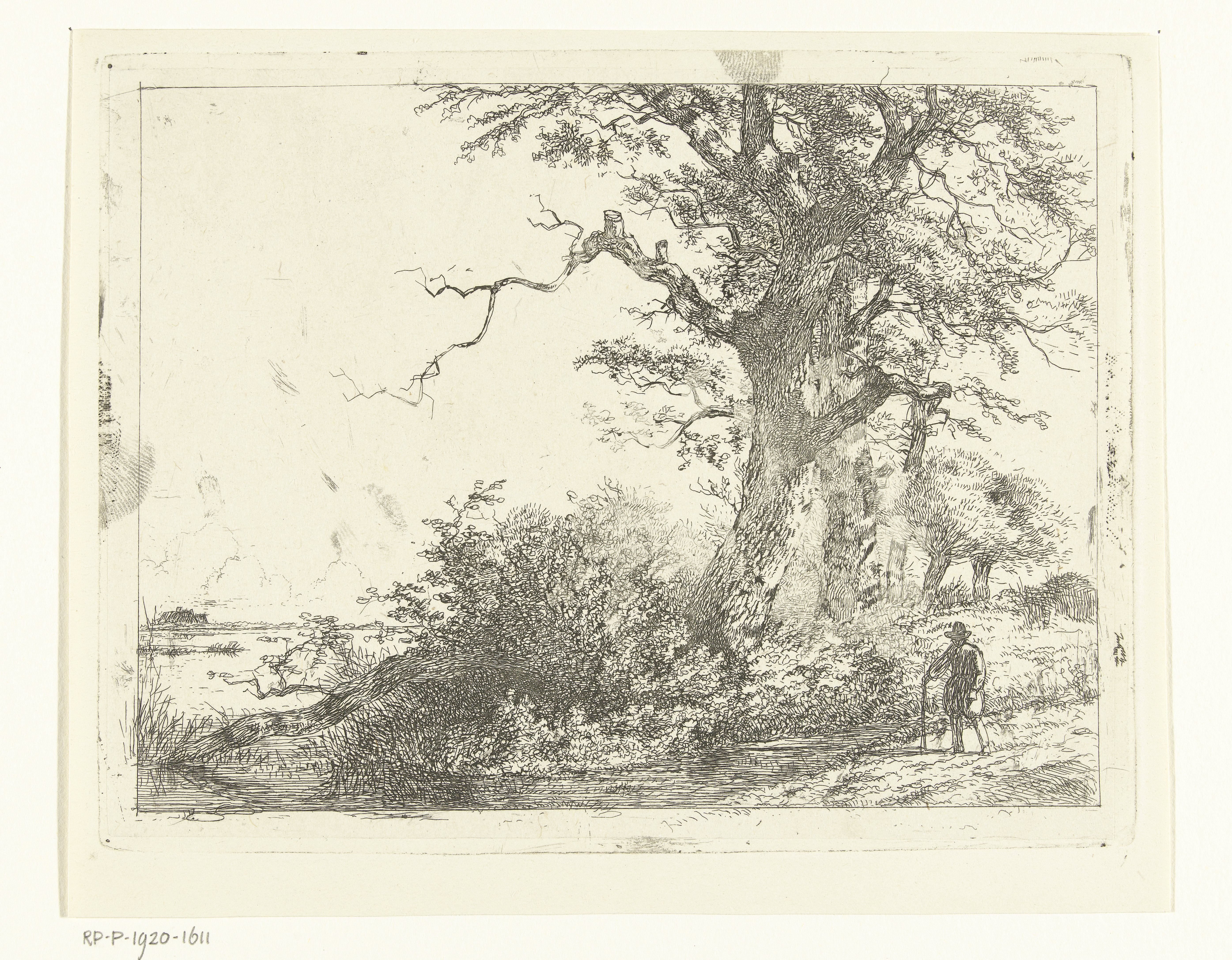 Landschap met eikebomen en man bij water