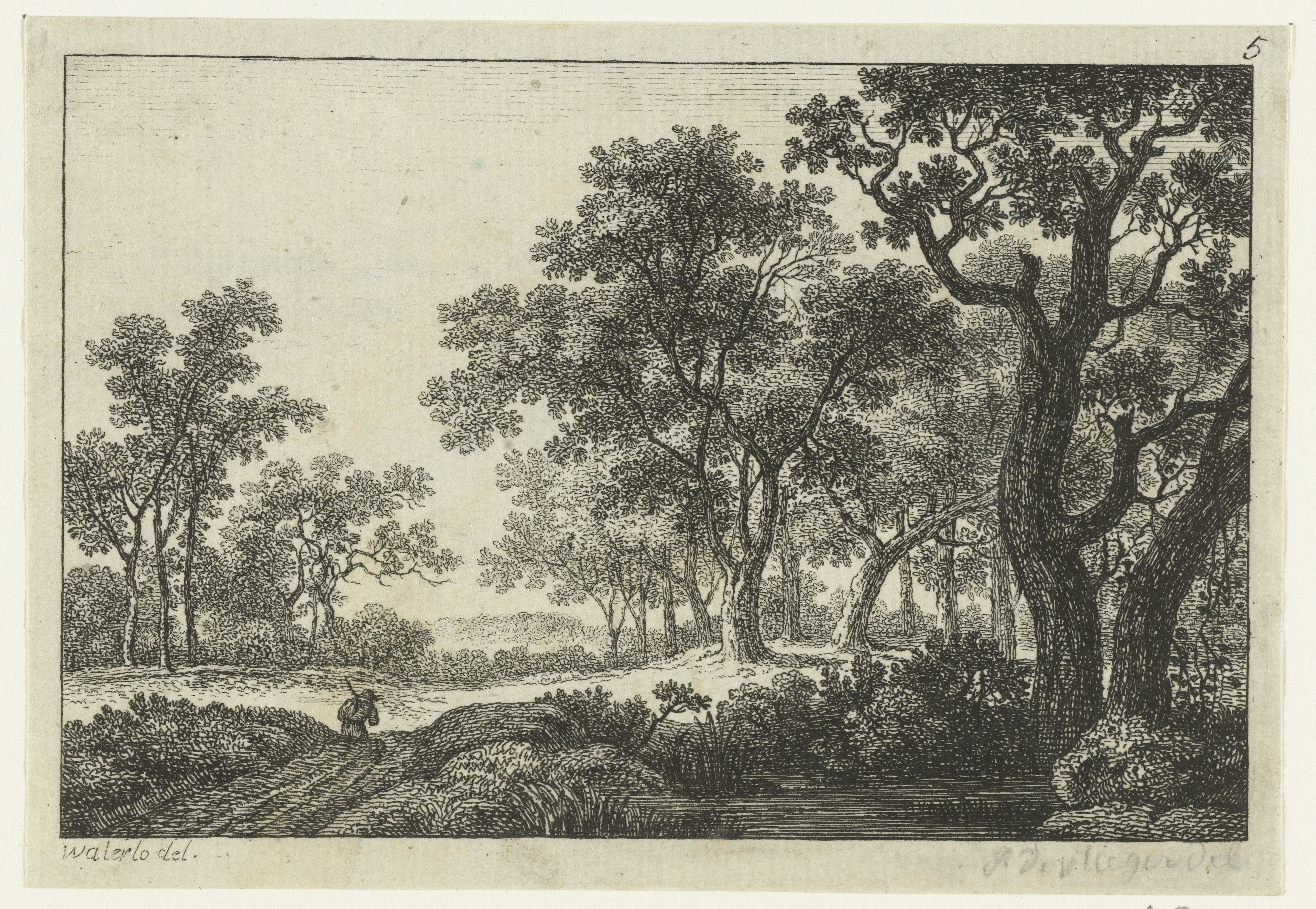 Pad door het bos