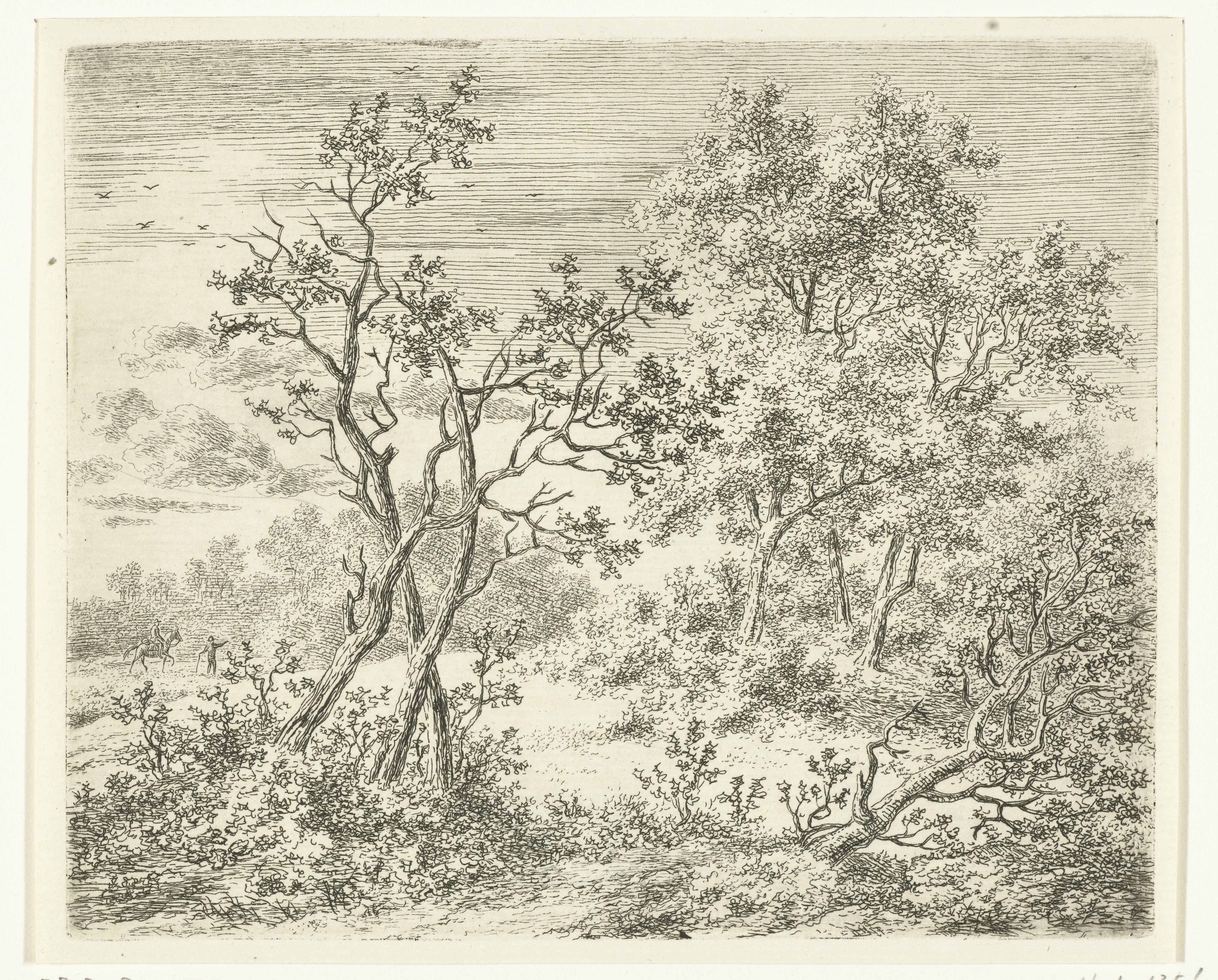 Boomrijk landschap met ruiter en voetganger