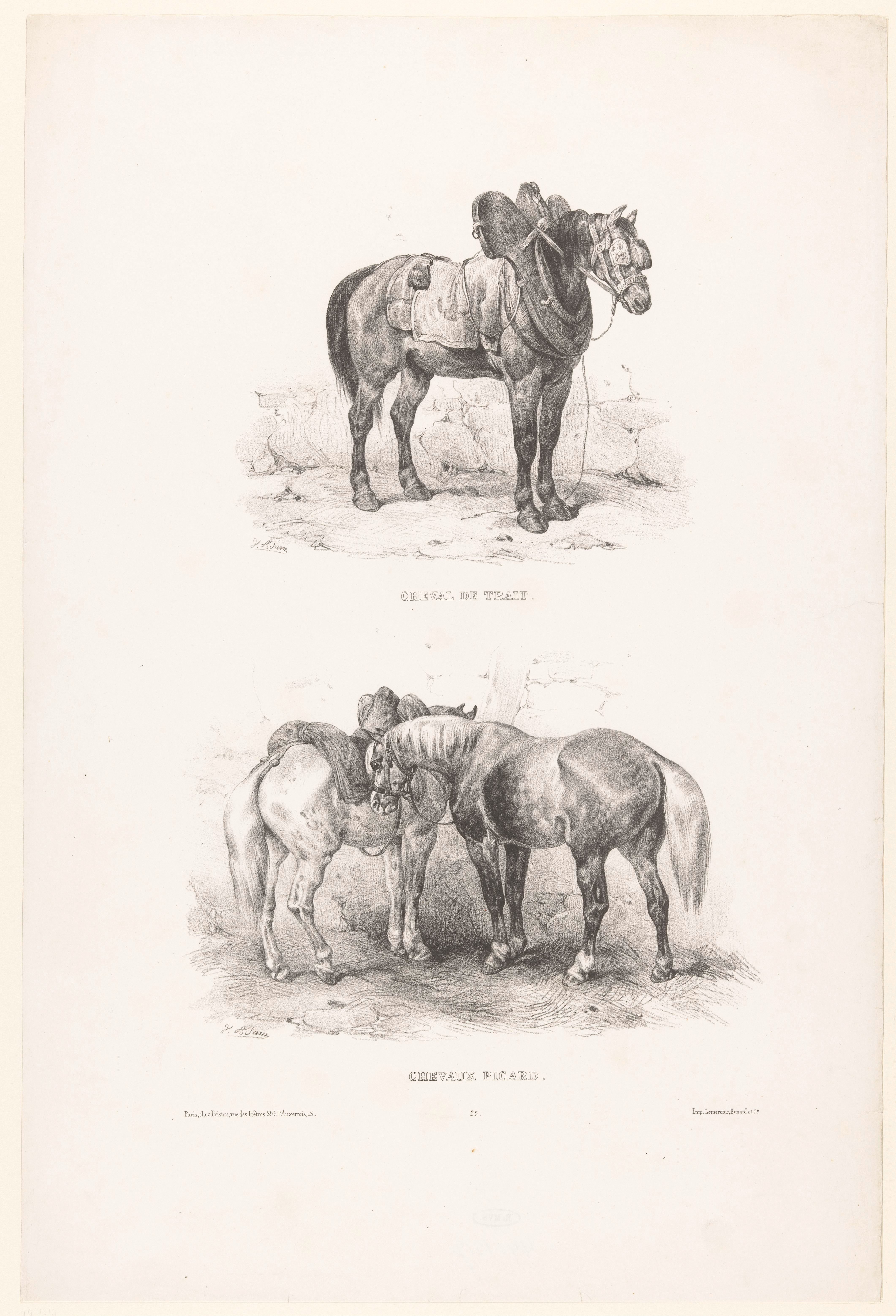 Twee voorstellingen met een trekpaard en picardische paarden