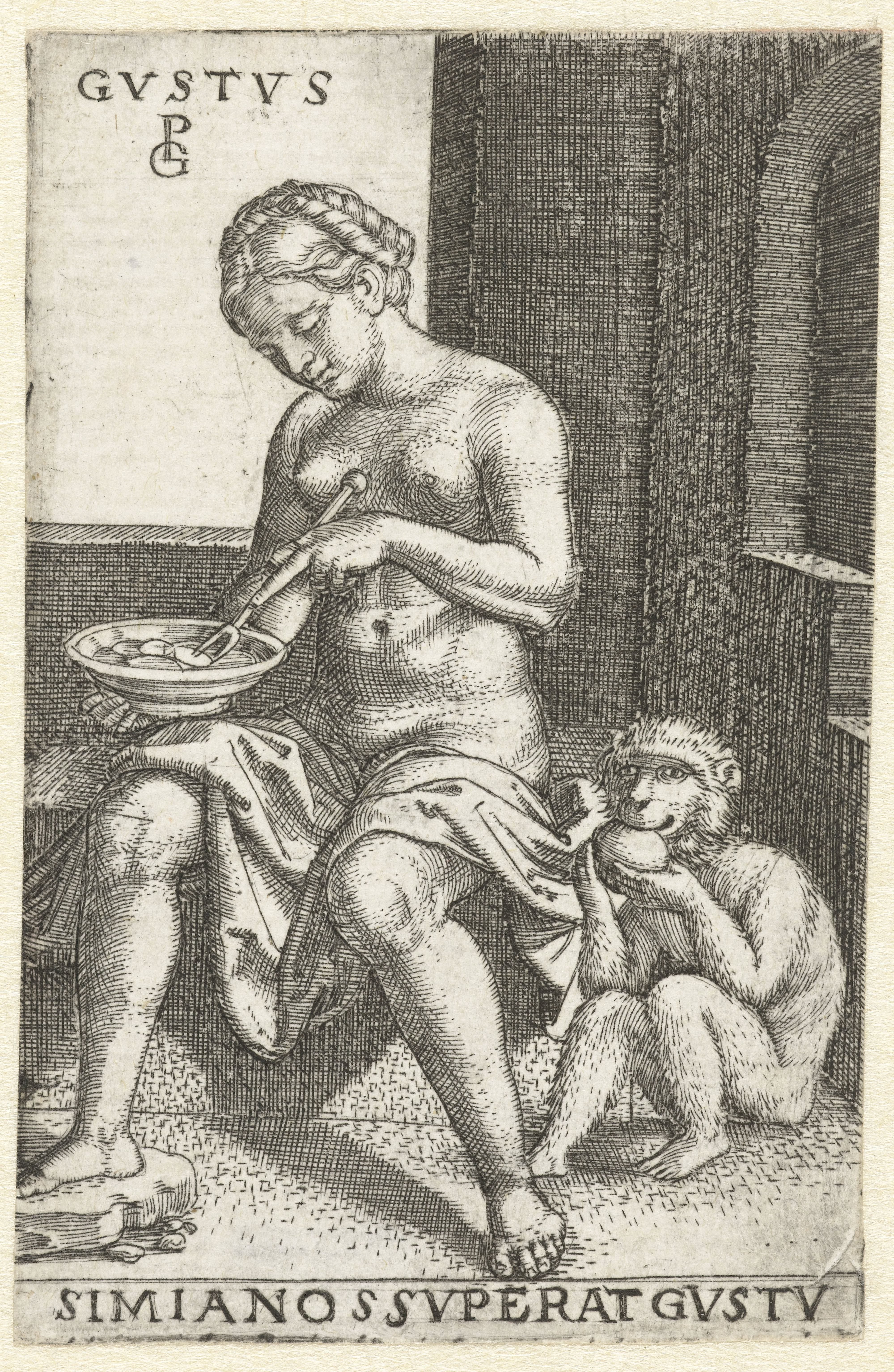Smaak (Gustus)