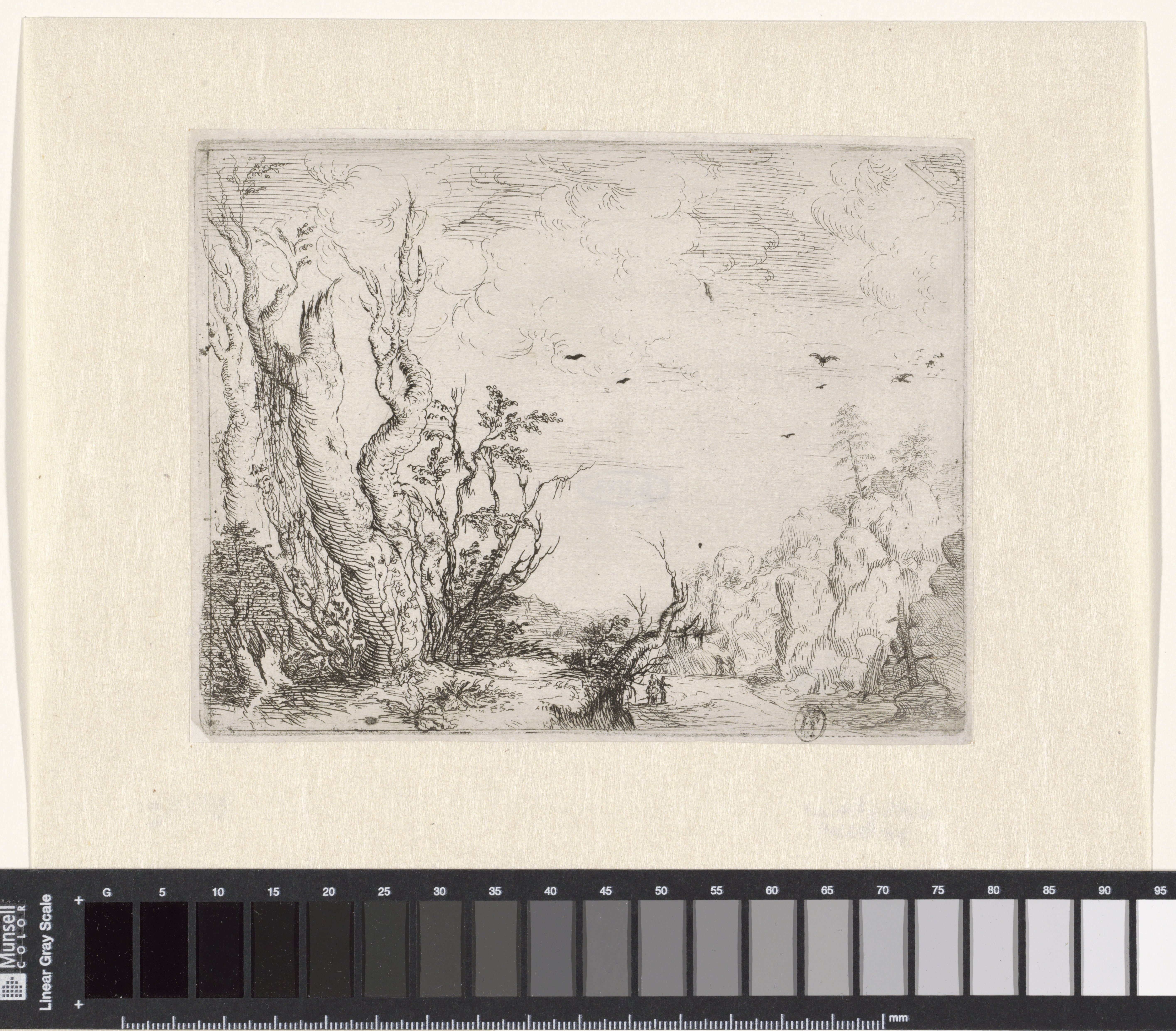Landschap met dode boom