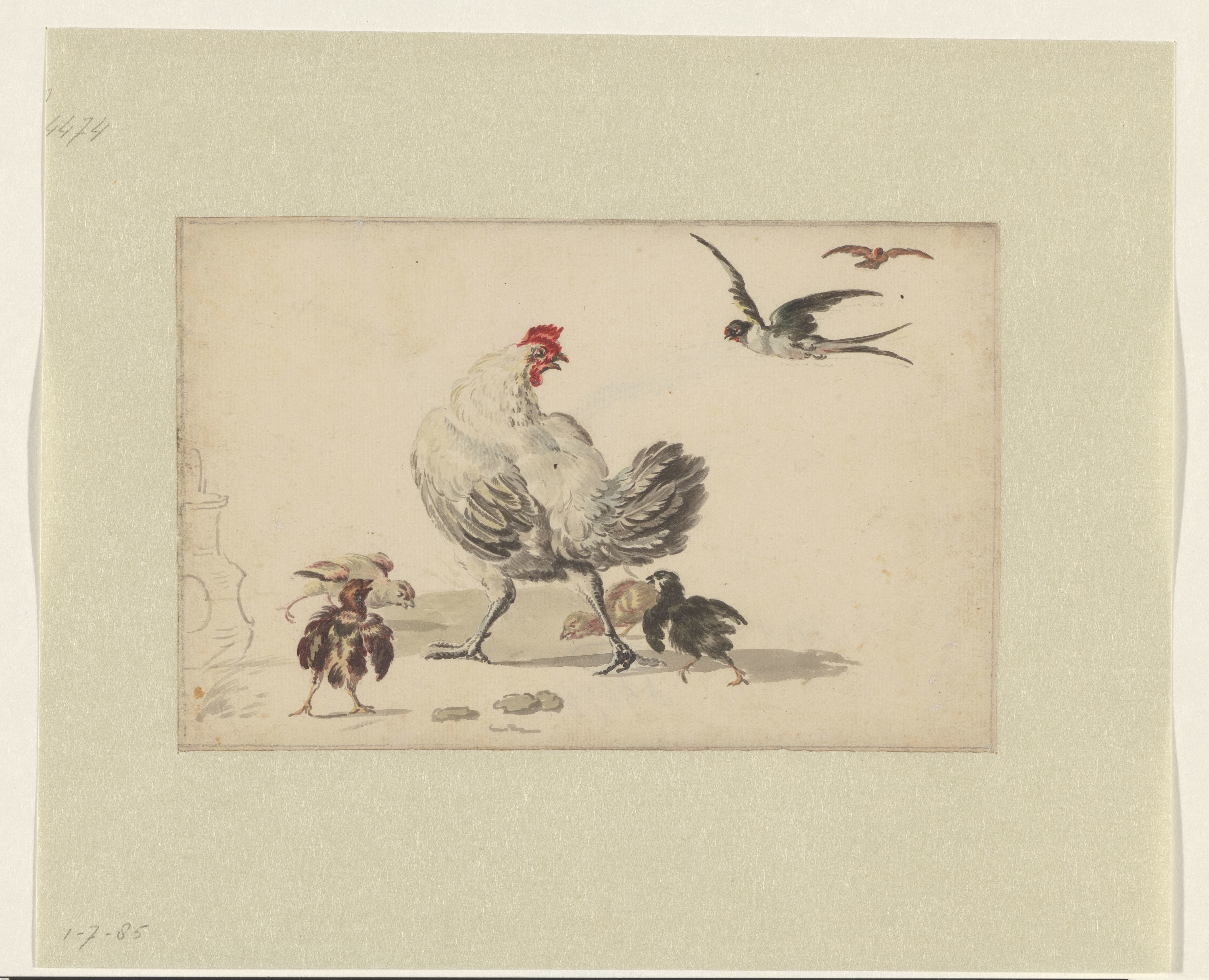 Twee zwaluwen en een hen met vier kuikens