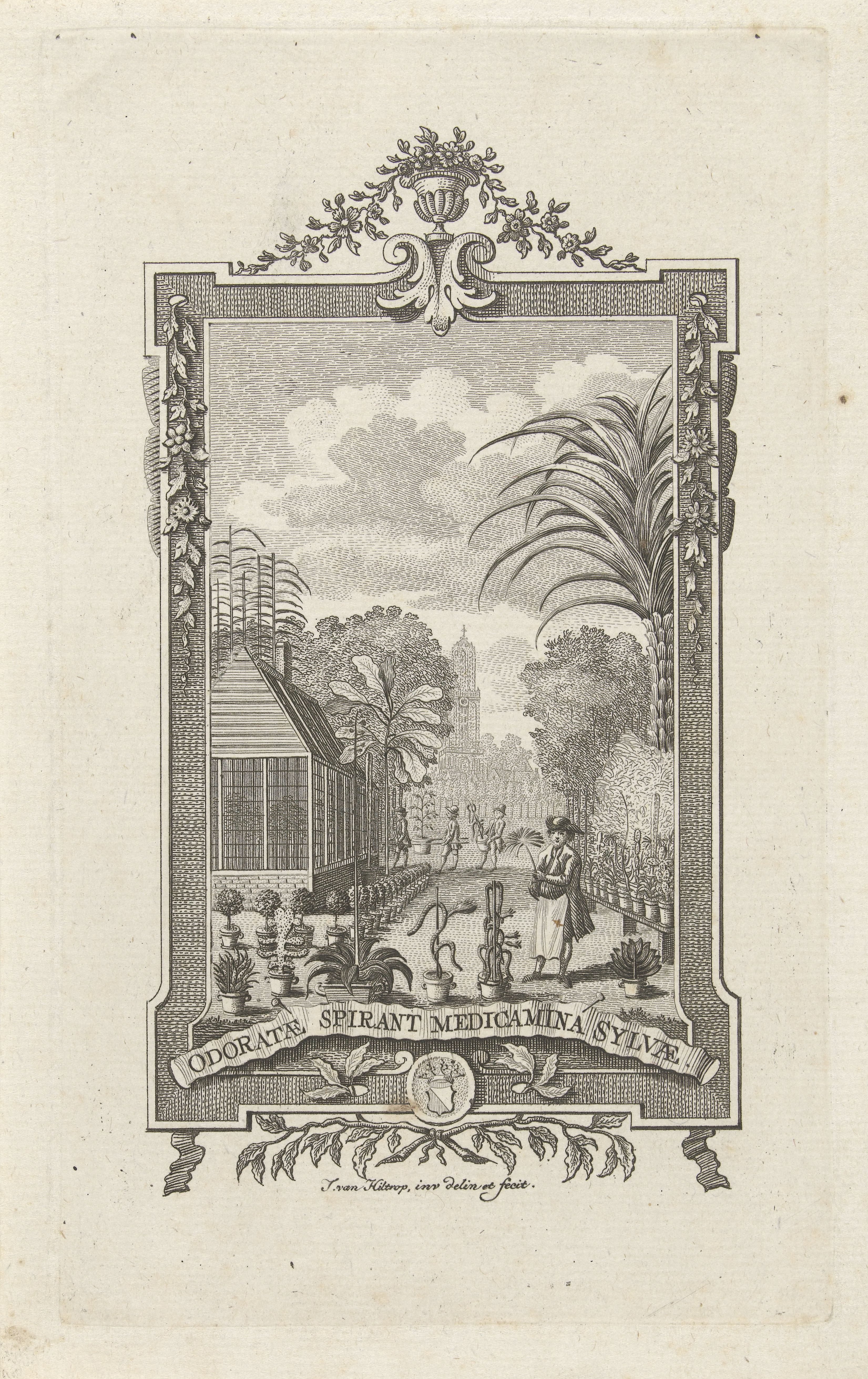 Johannes van Hiltrop