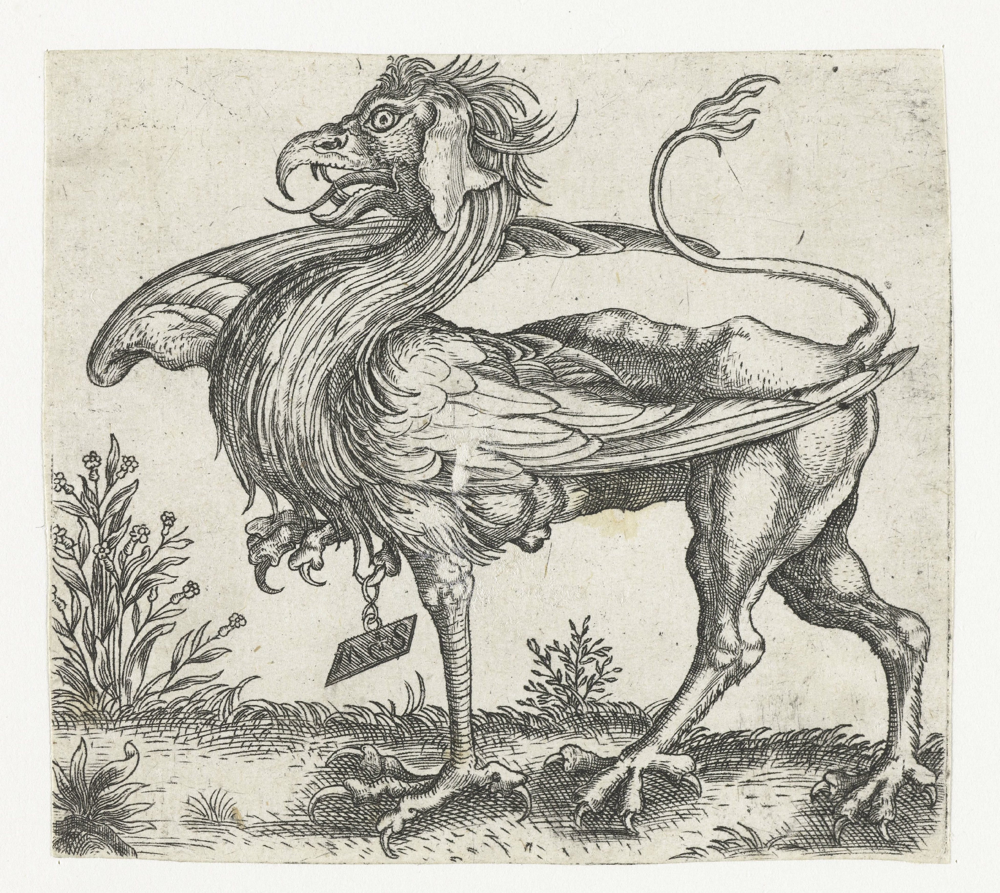 De griffioen