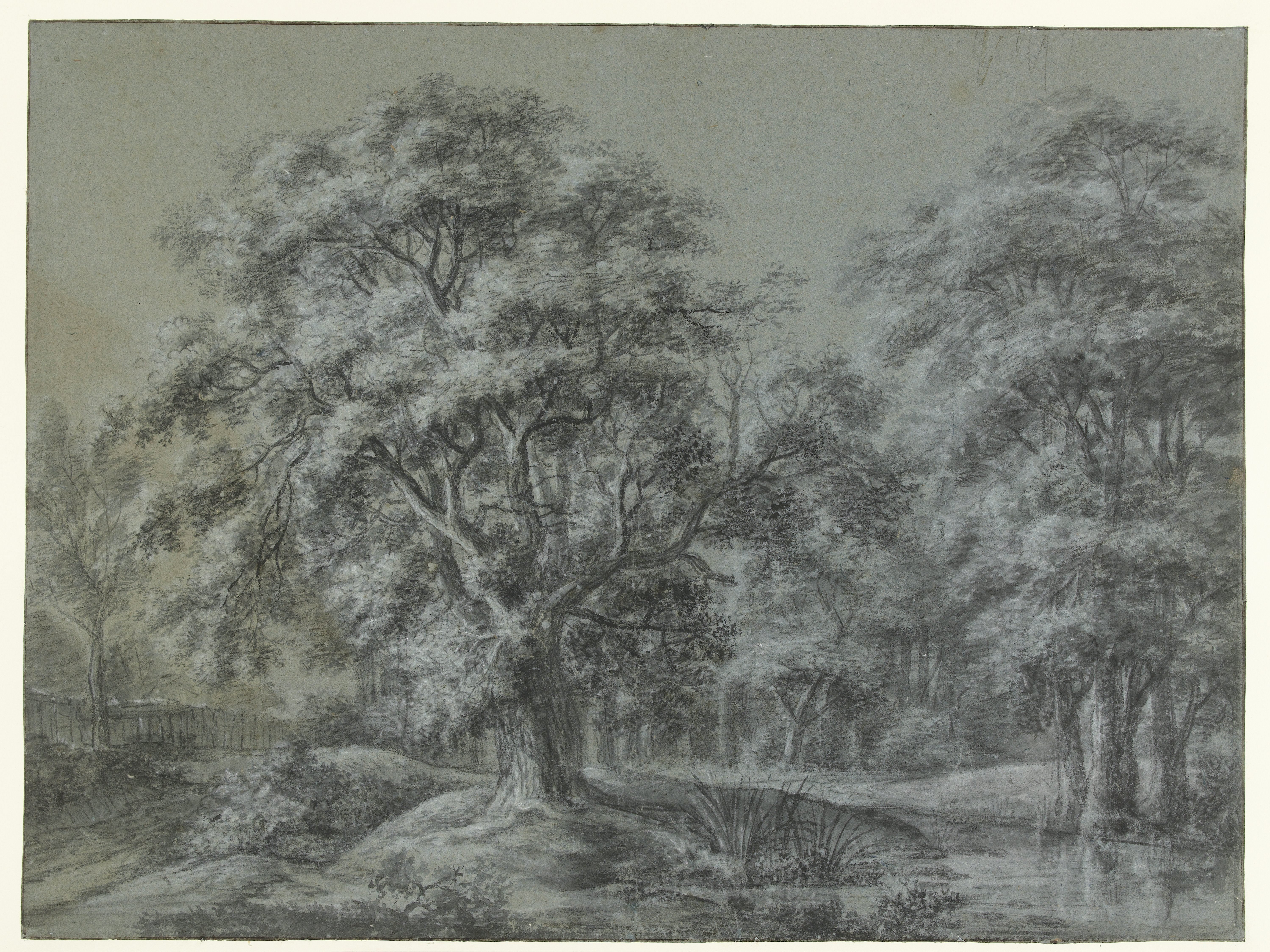 Boslandschap met een water
