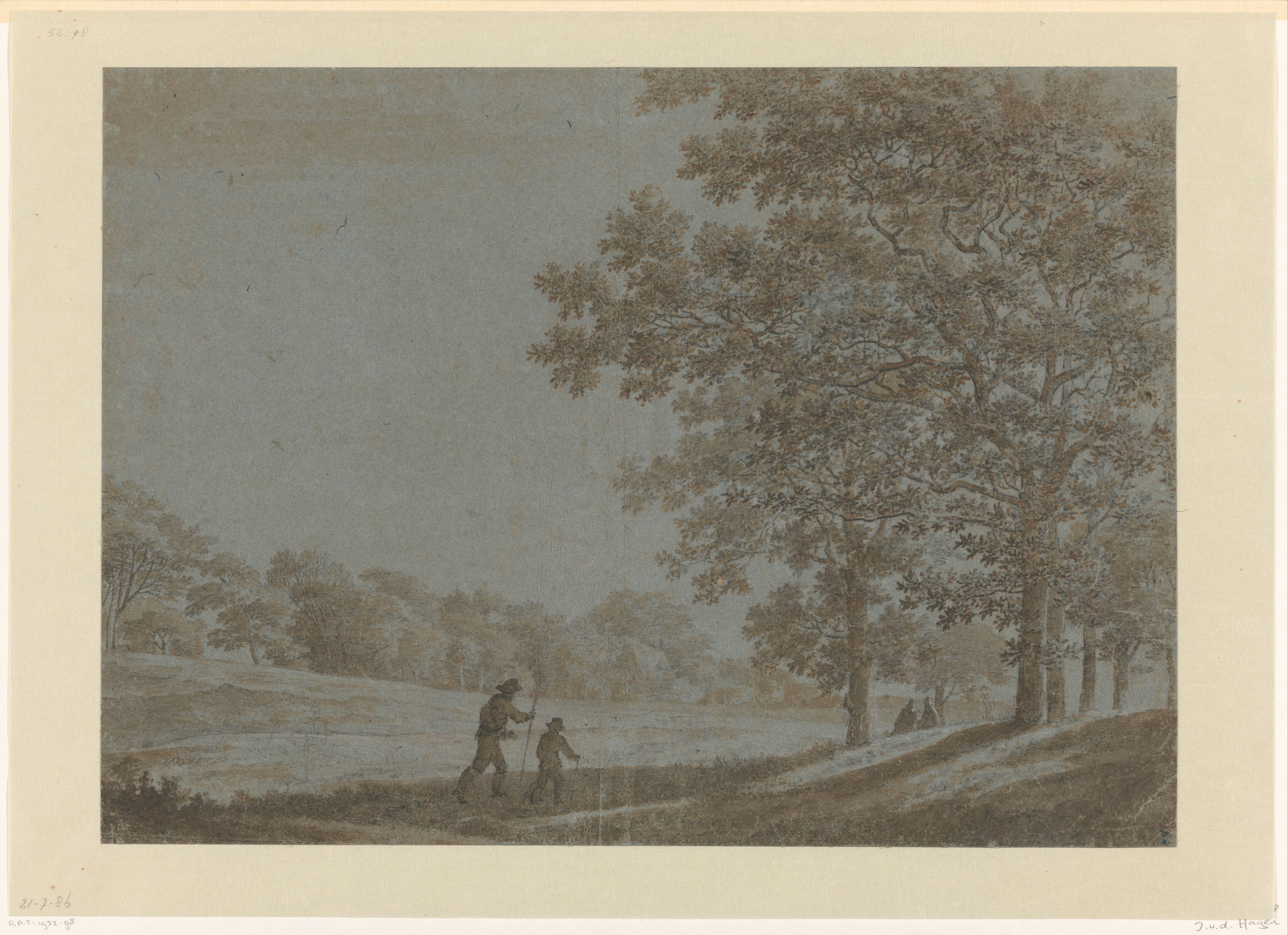 Wandelaars op een weg langs hoge bomen