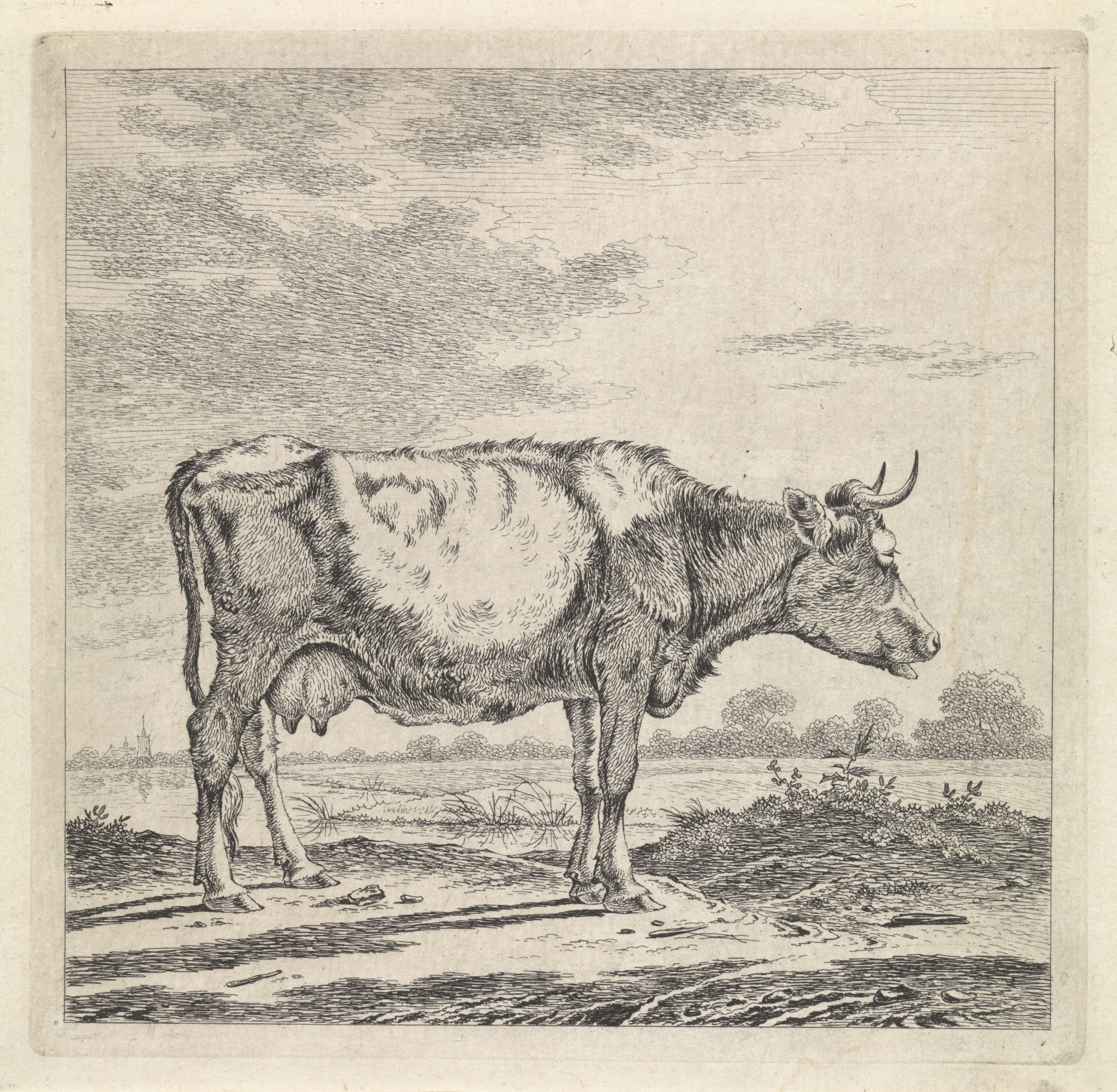 Landschap met koe aan waterkant