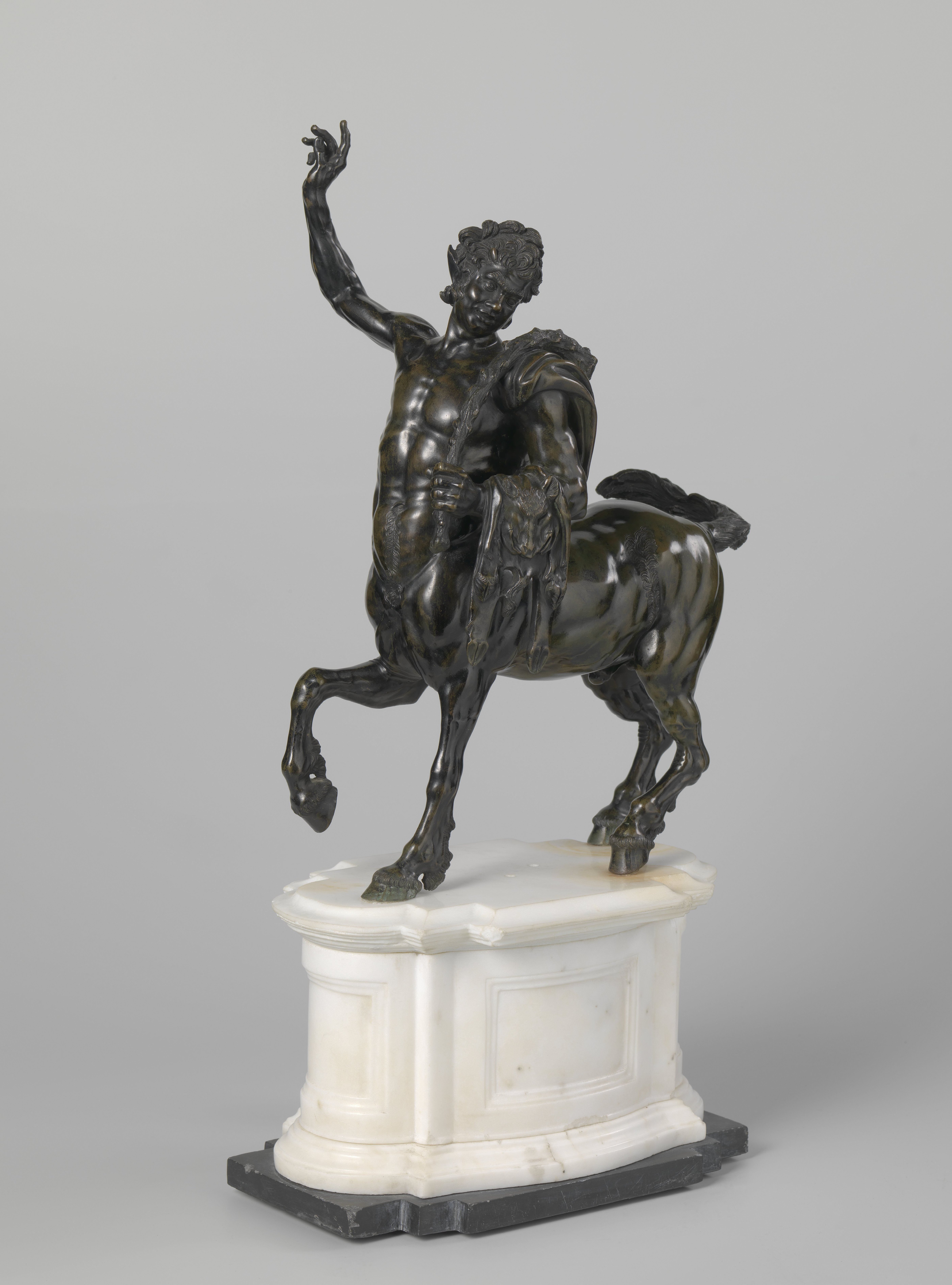 A Young and an Old Centaur