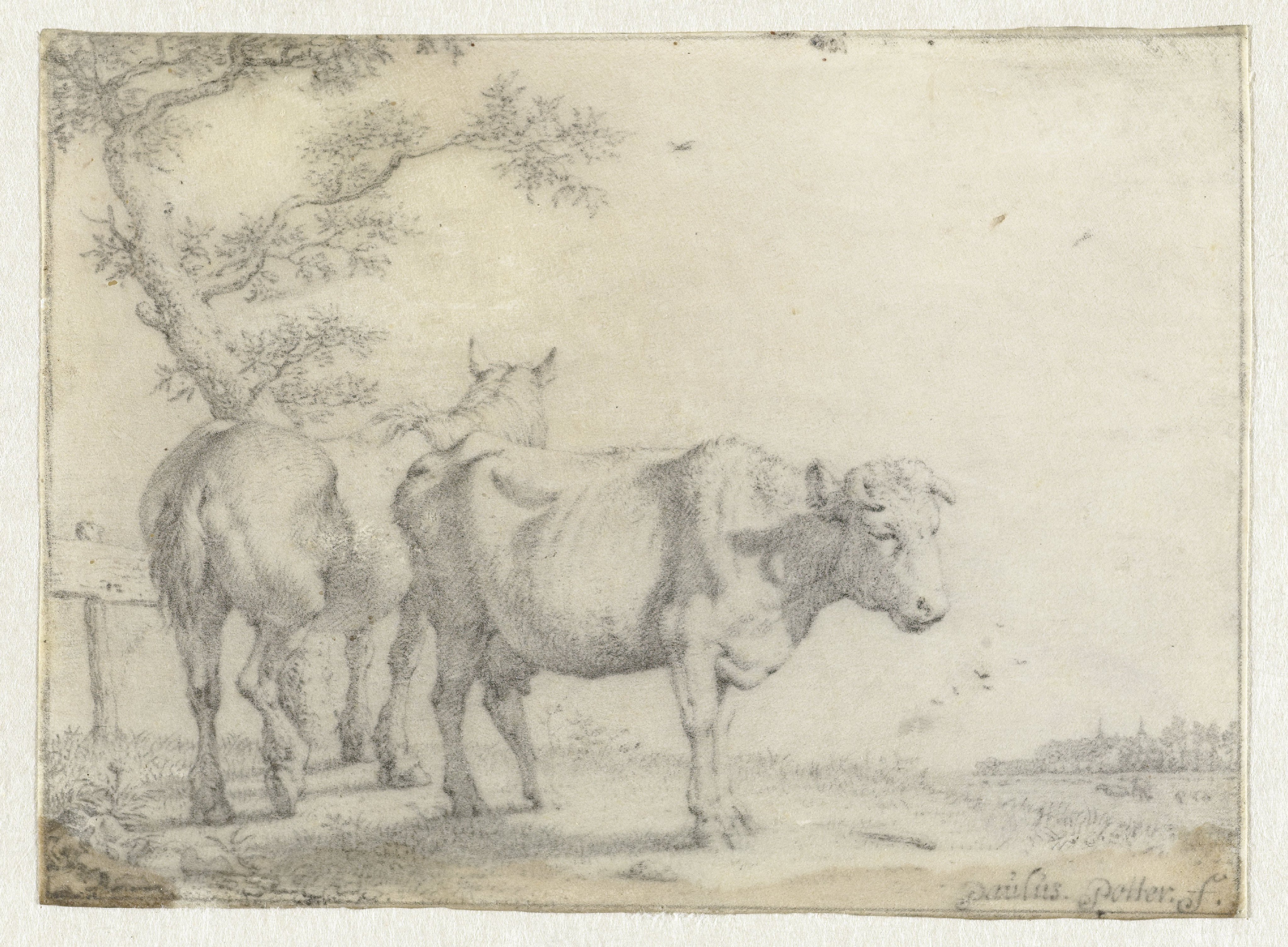 Paard en een koe bij een boom