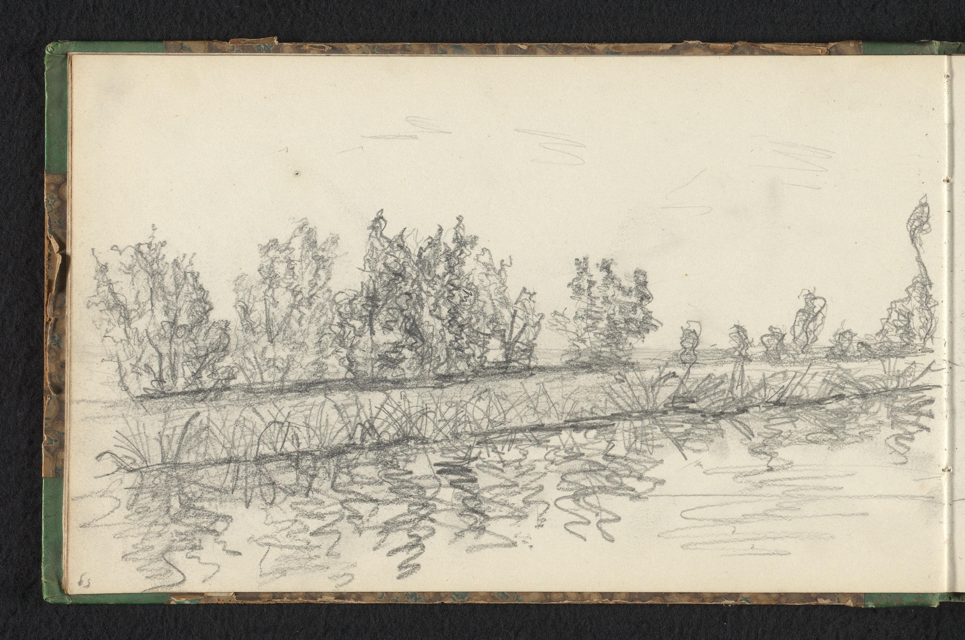 Bosrand weerspiegelend in het water