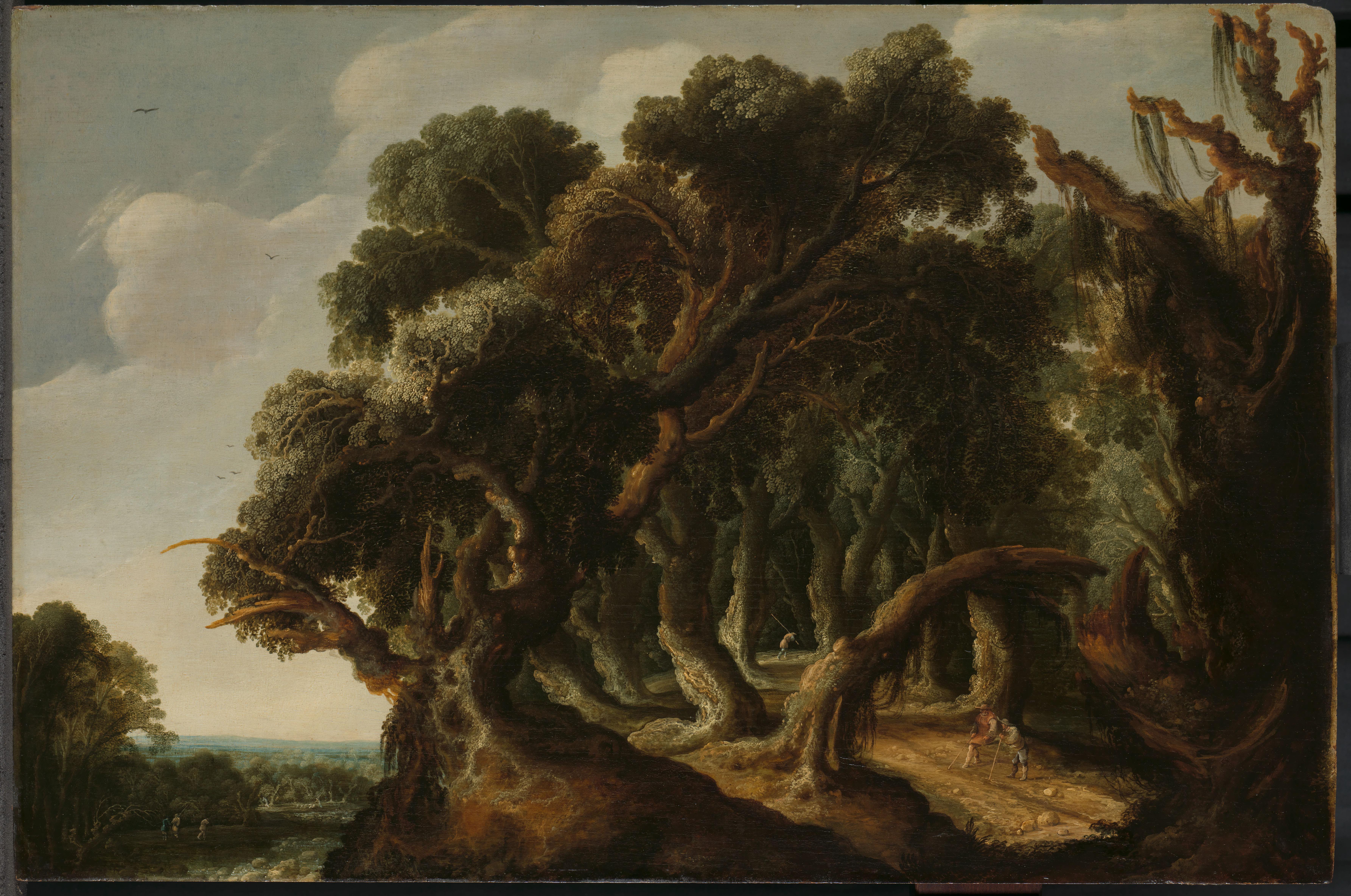 Boslandschap