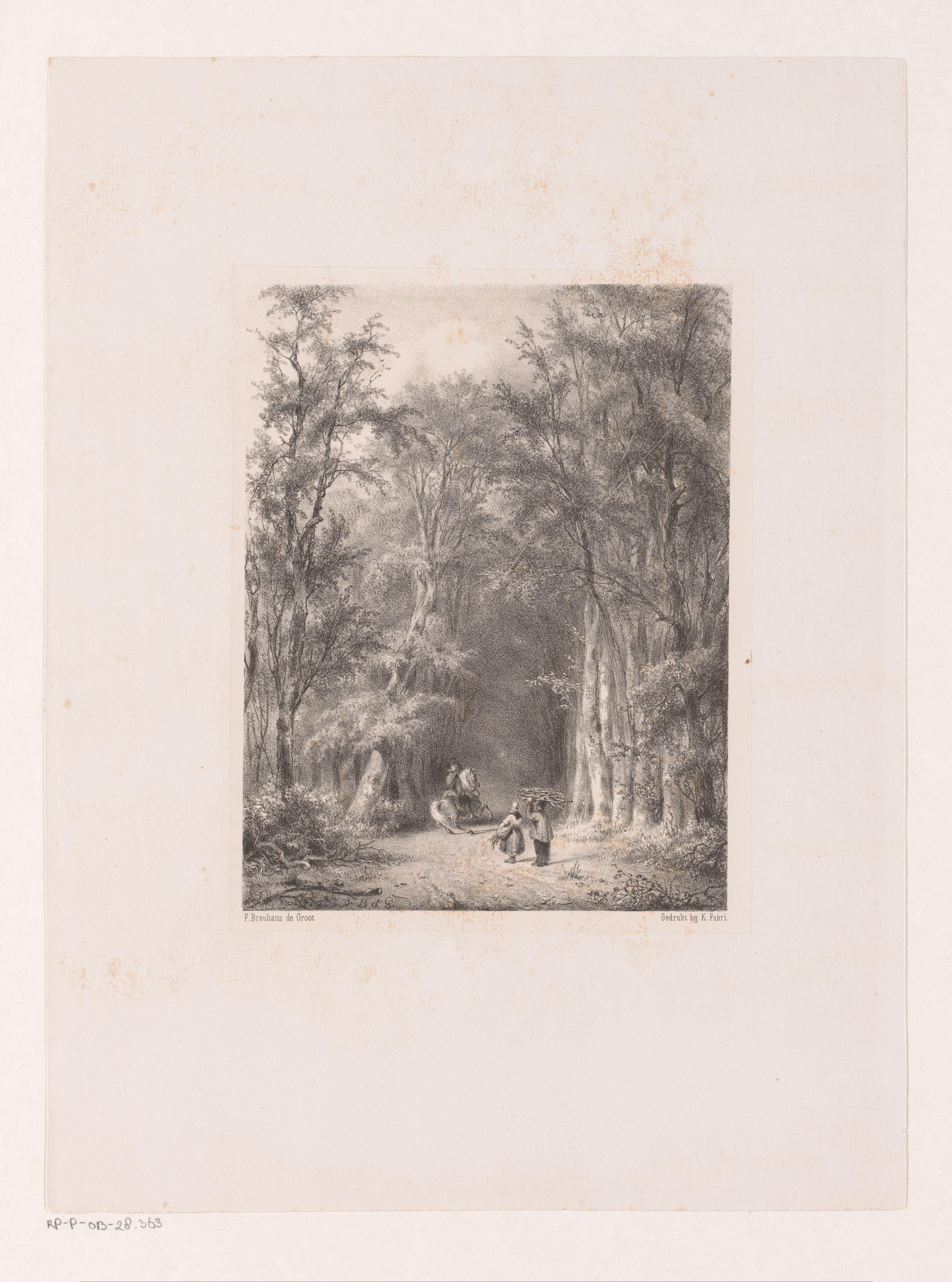 Houtsprokkelaars en ruiter in het bos