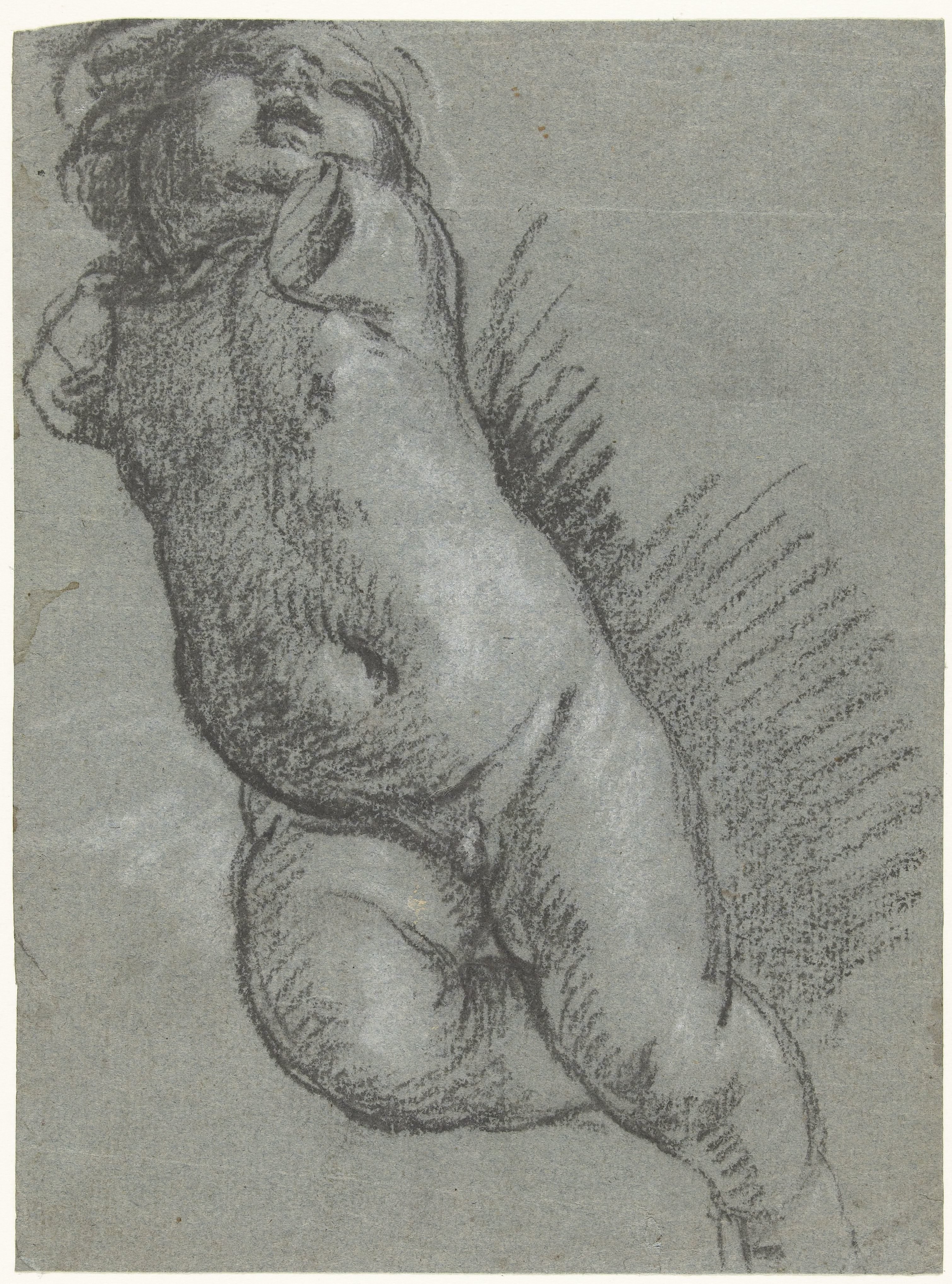 Studie van een zwevende putto
