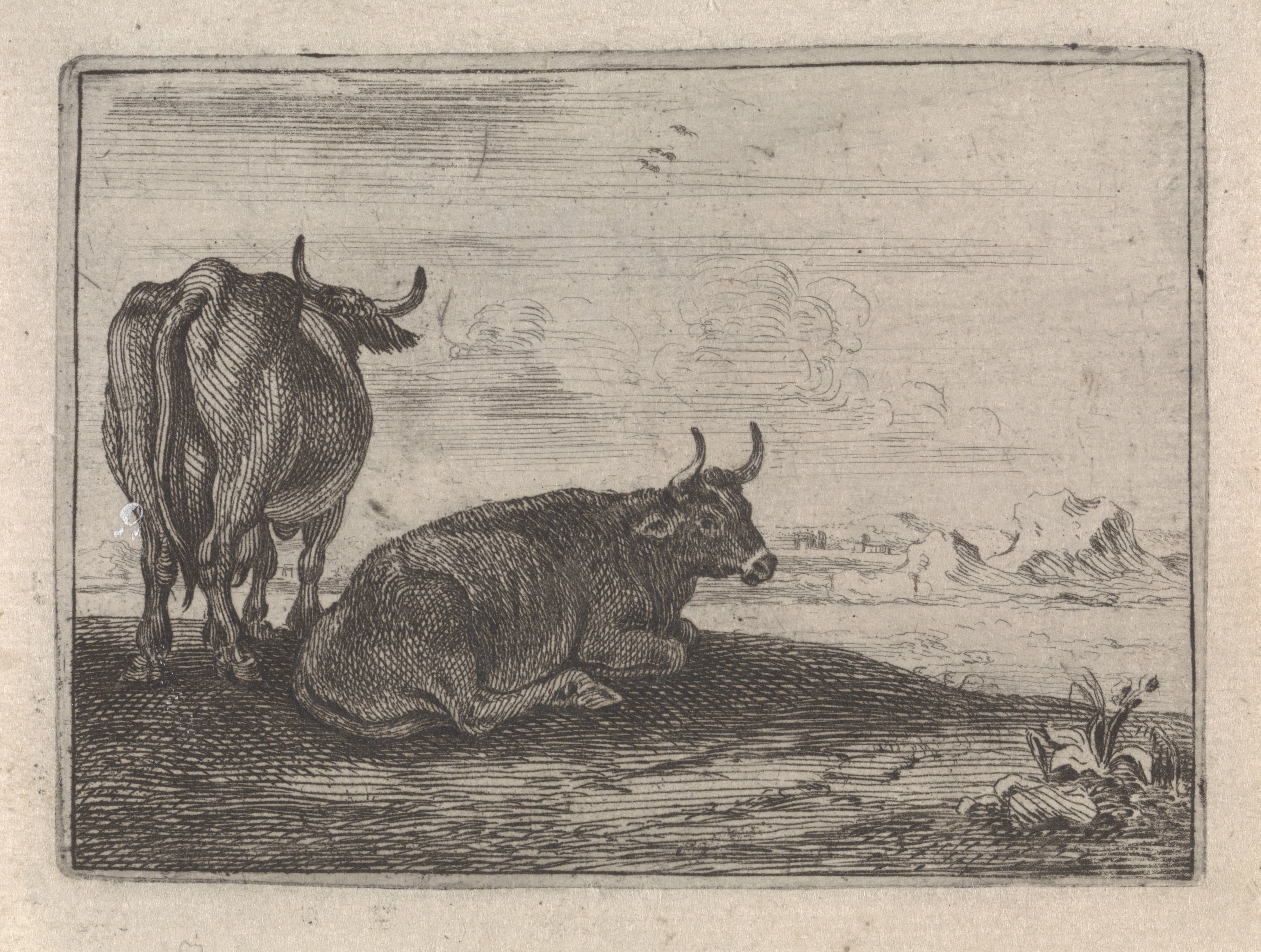 Twee koeien in een landschap