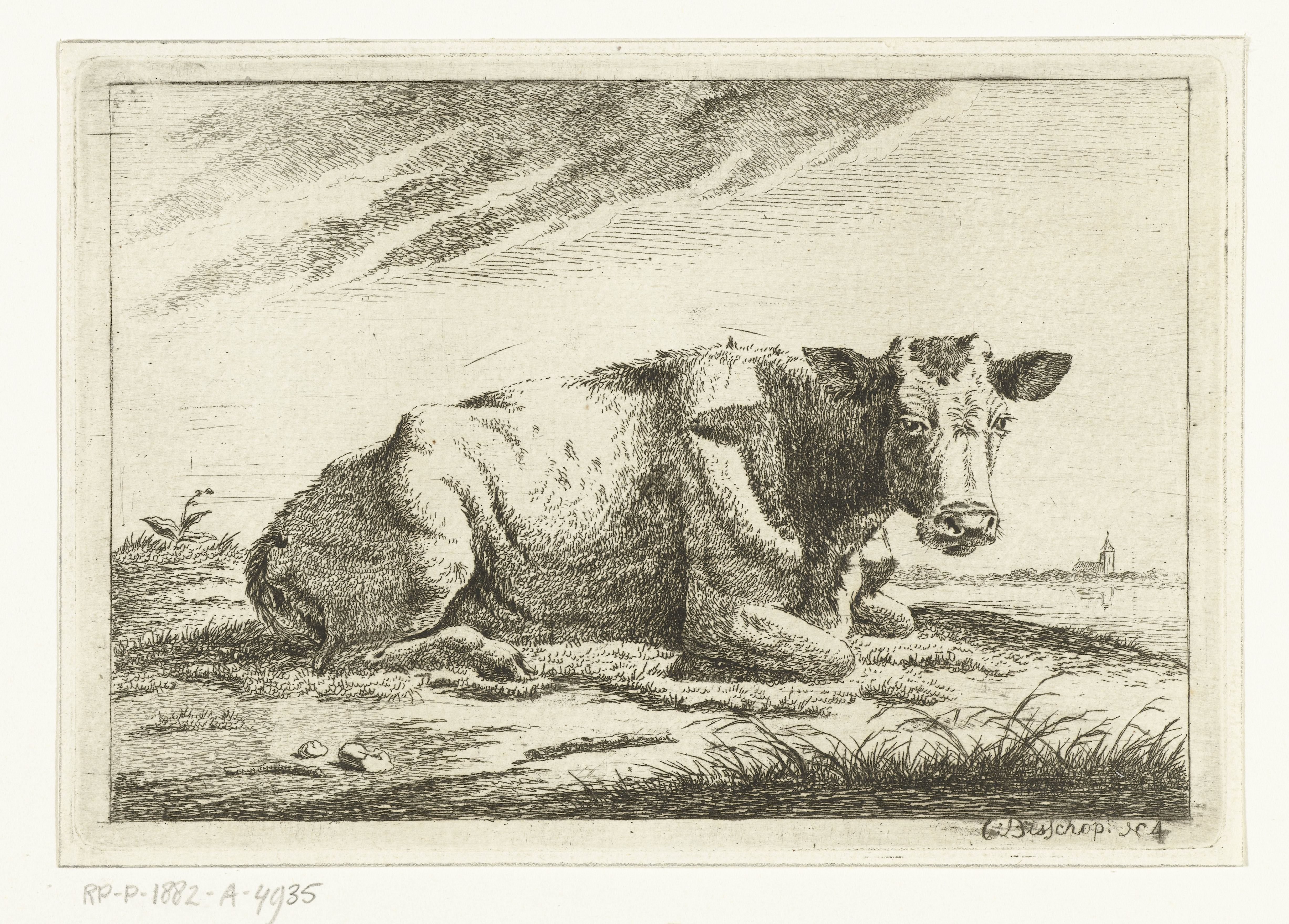 Landschap met liggende koe zonder horens