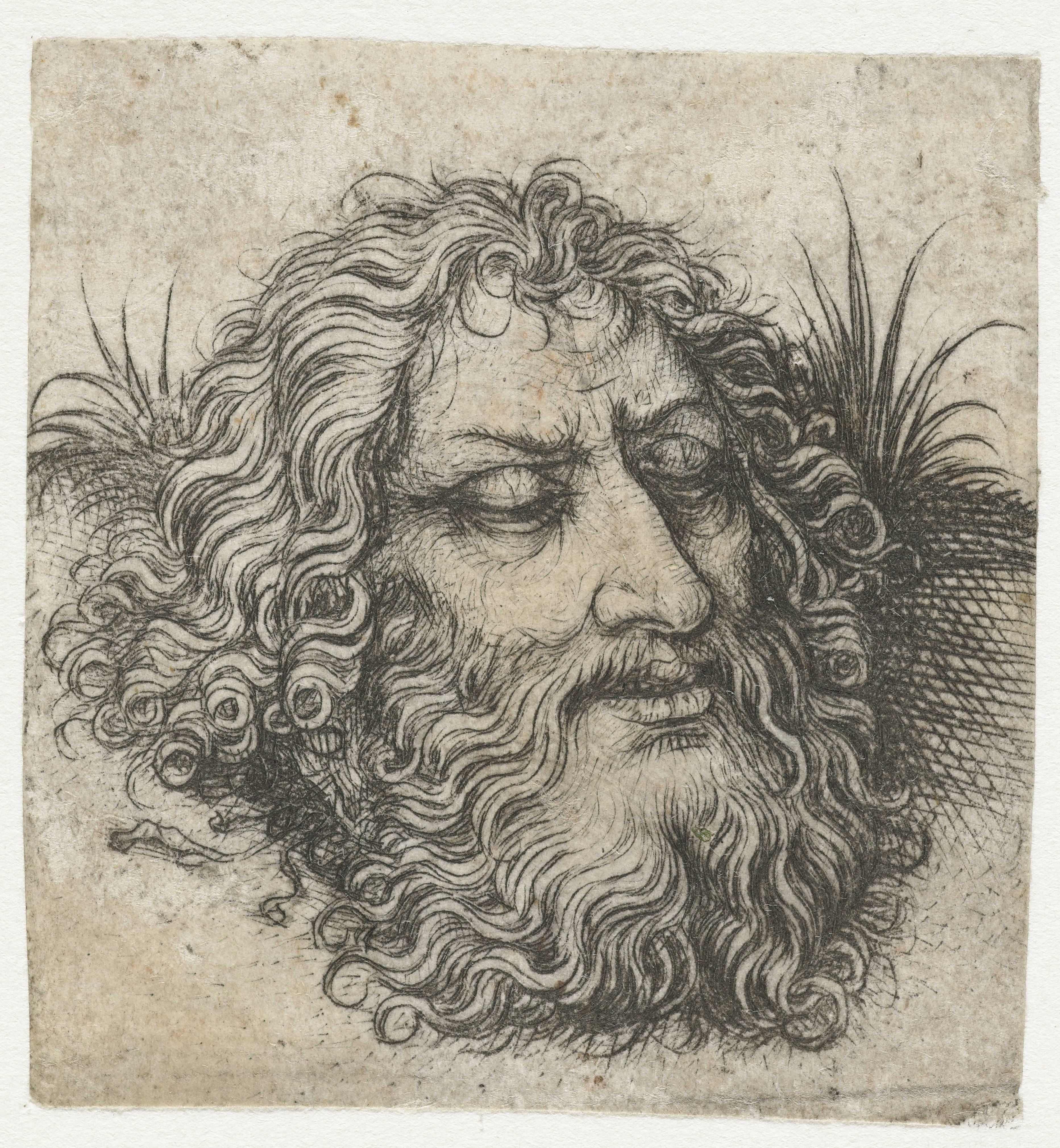 Het hoofd van Johannes de Doper of van Goliath