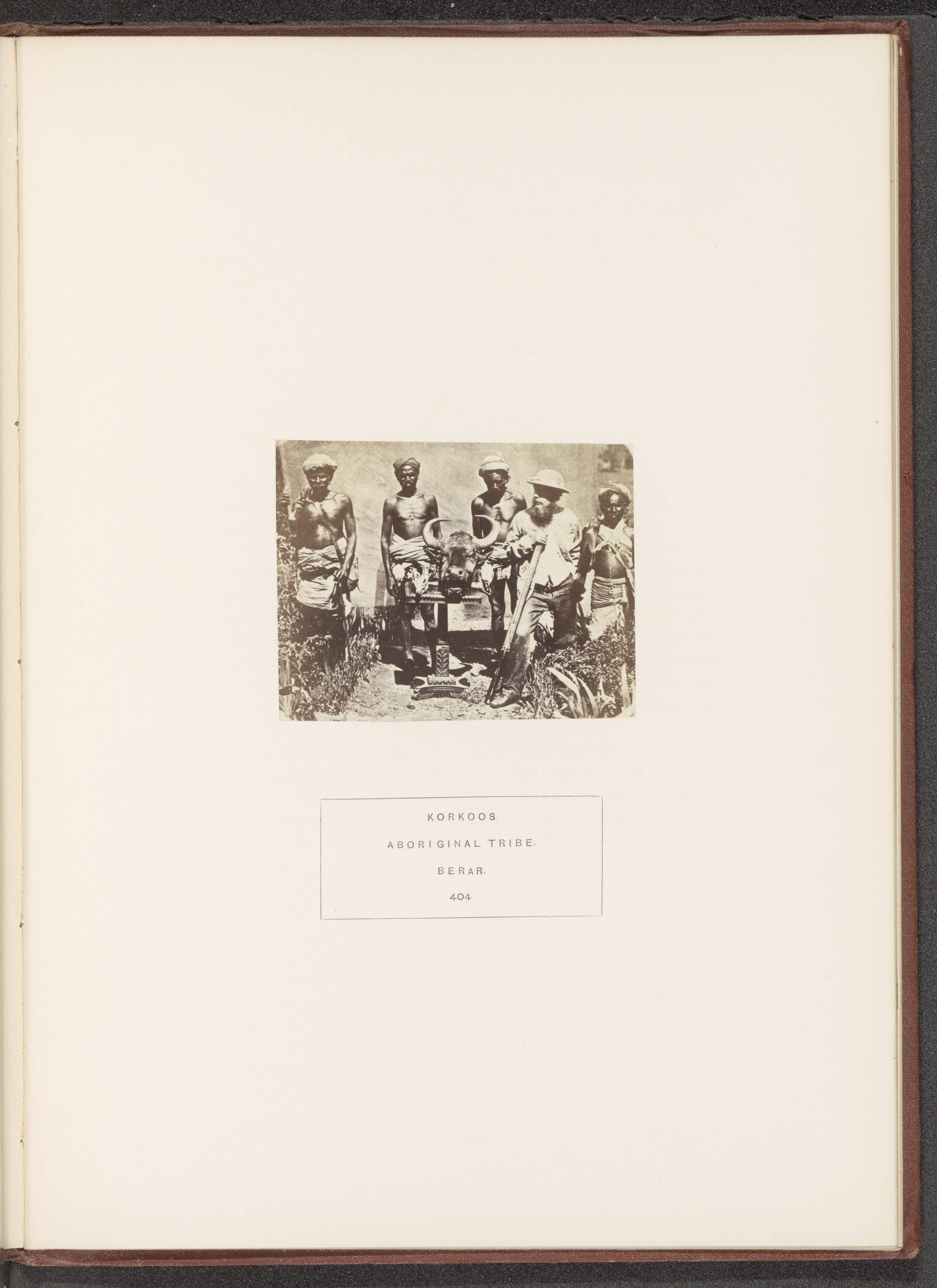 Group of four men from the Korku tribe and a British hunter around a table with a head of bison on it in the former Berar in central India