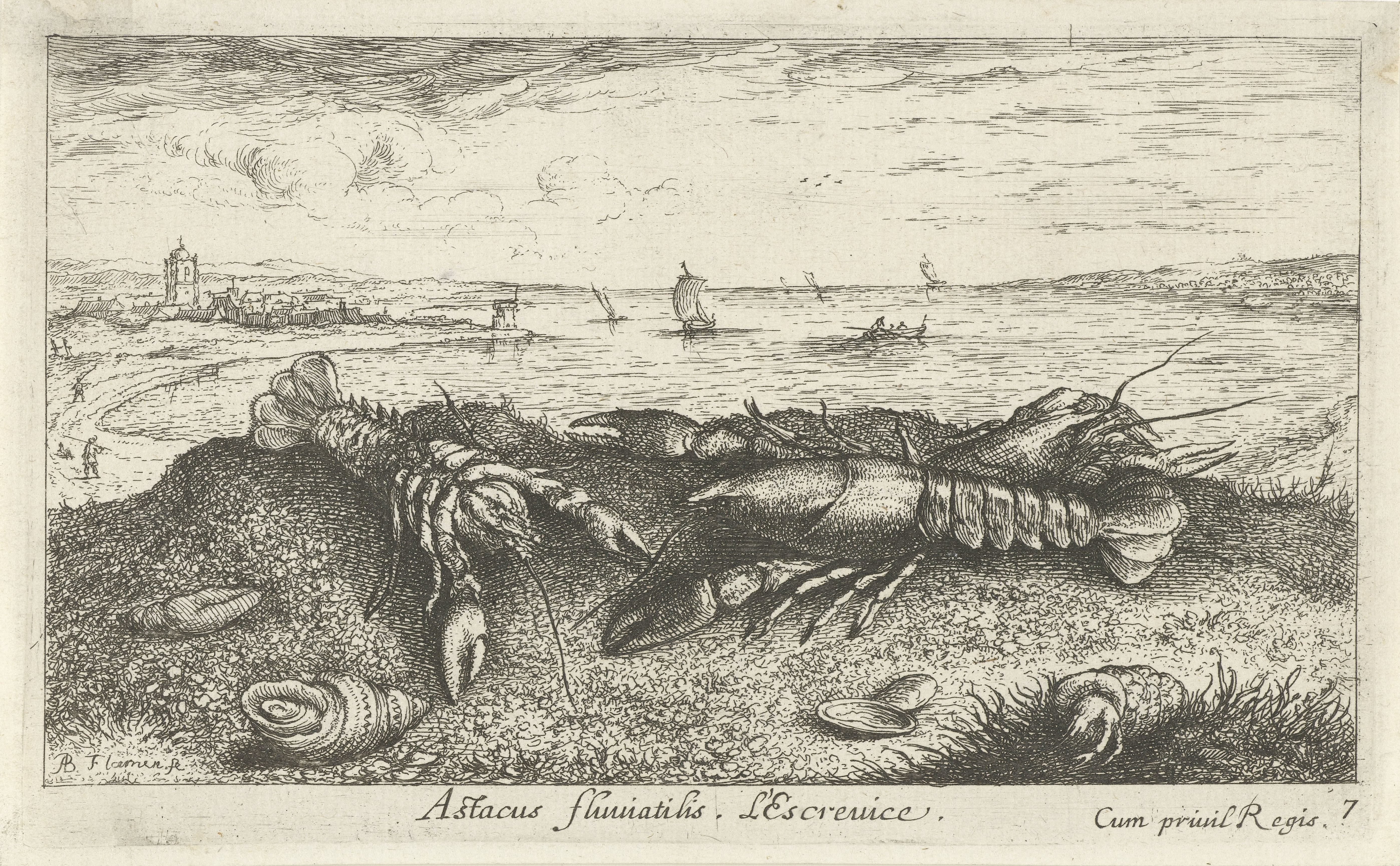 Rivierlandschap met rivierkreeften op de voorgrond