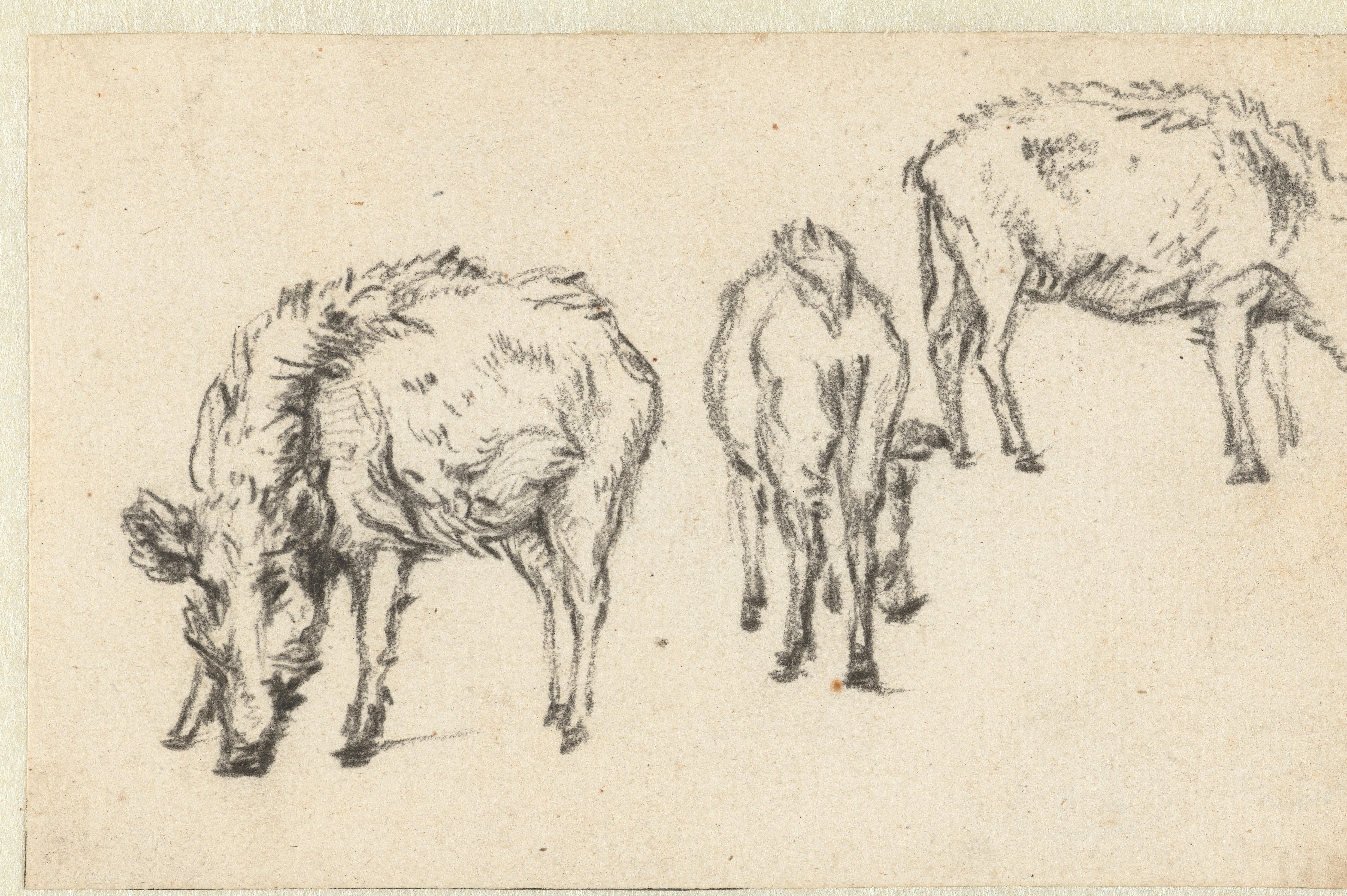 Drie varkens