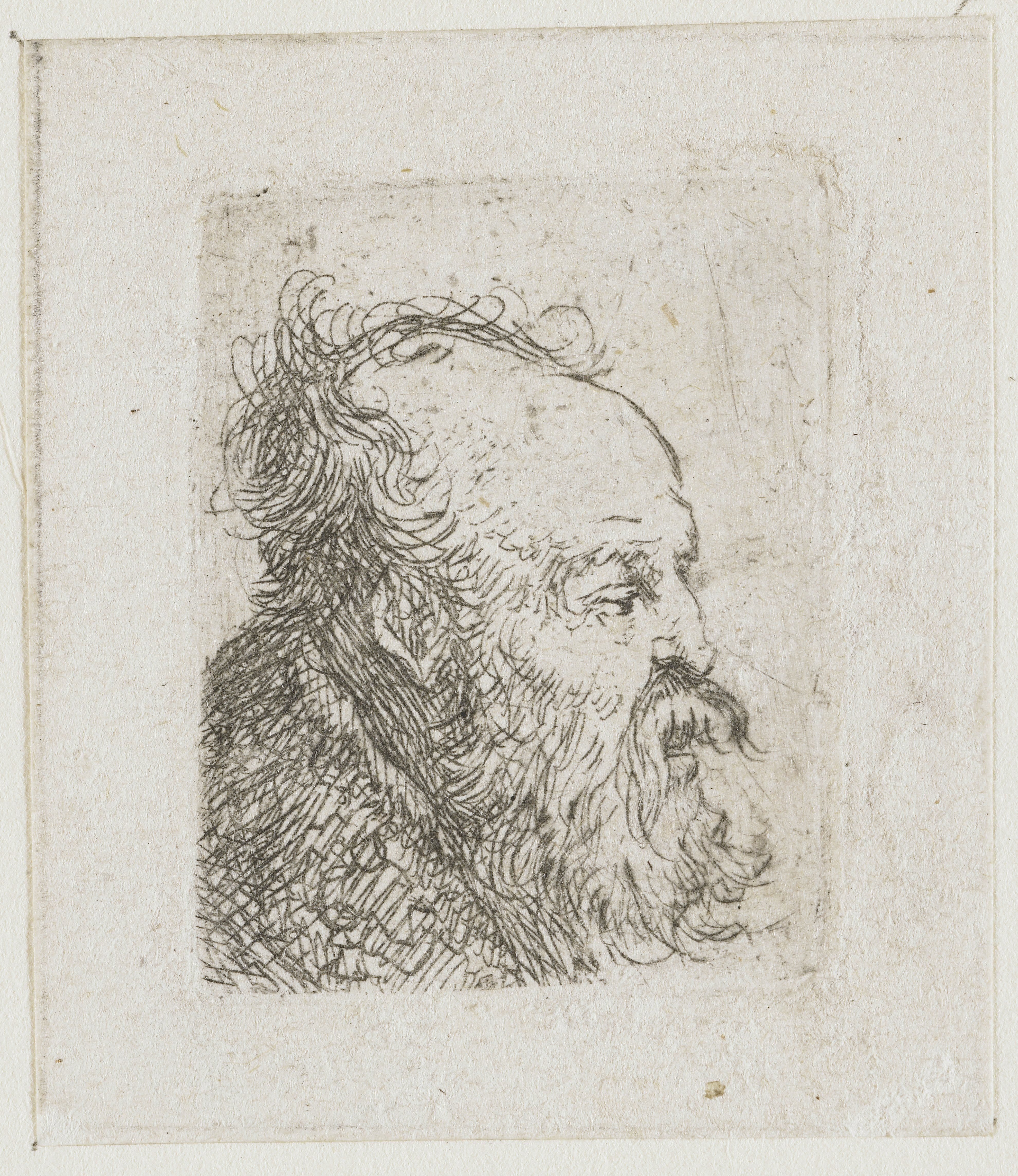 Sheet of studies of men's heads: old bearded man nearly in profile to right: mouth half open