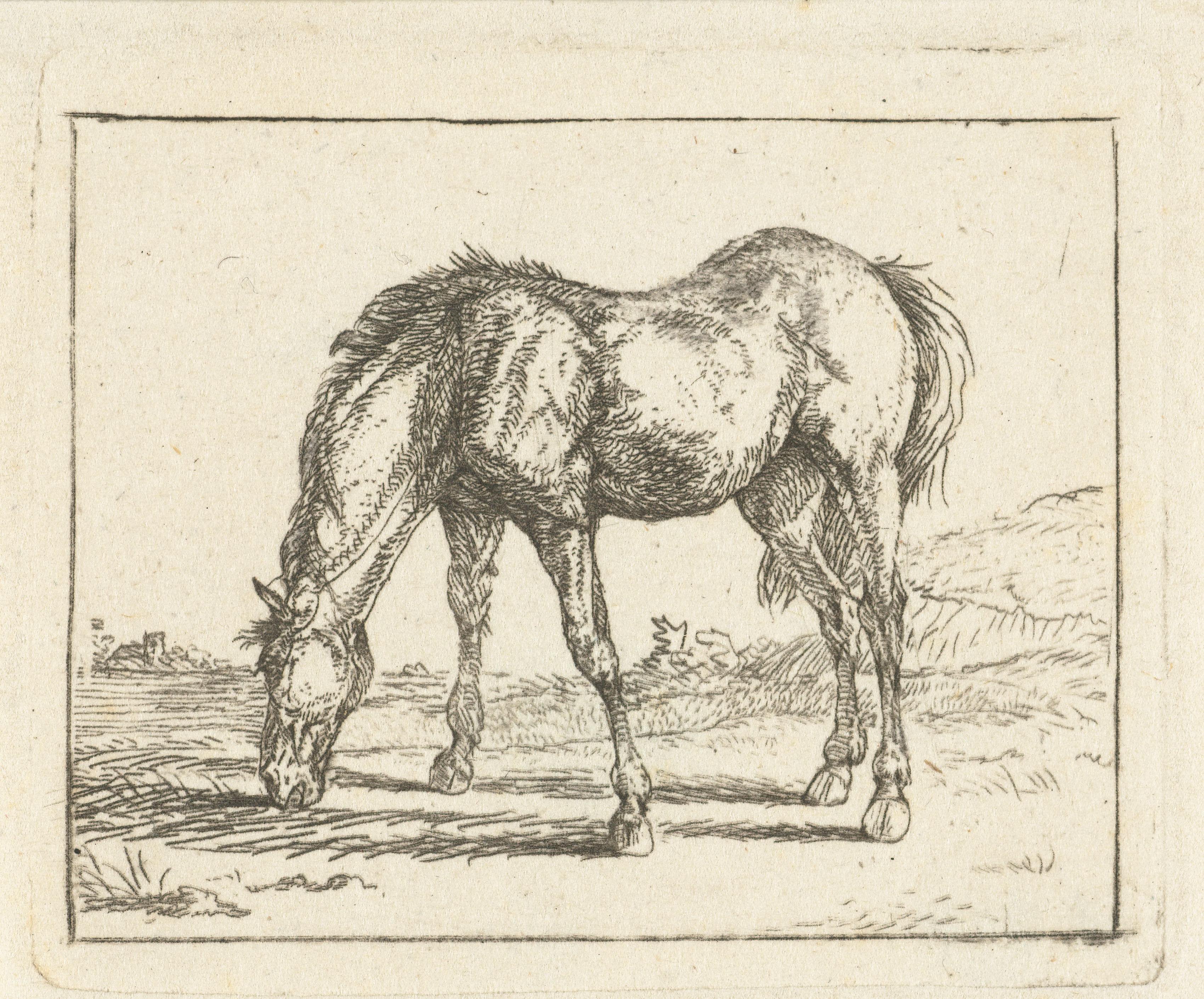 Grazend paard naar links