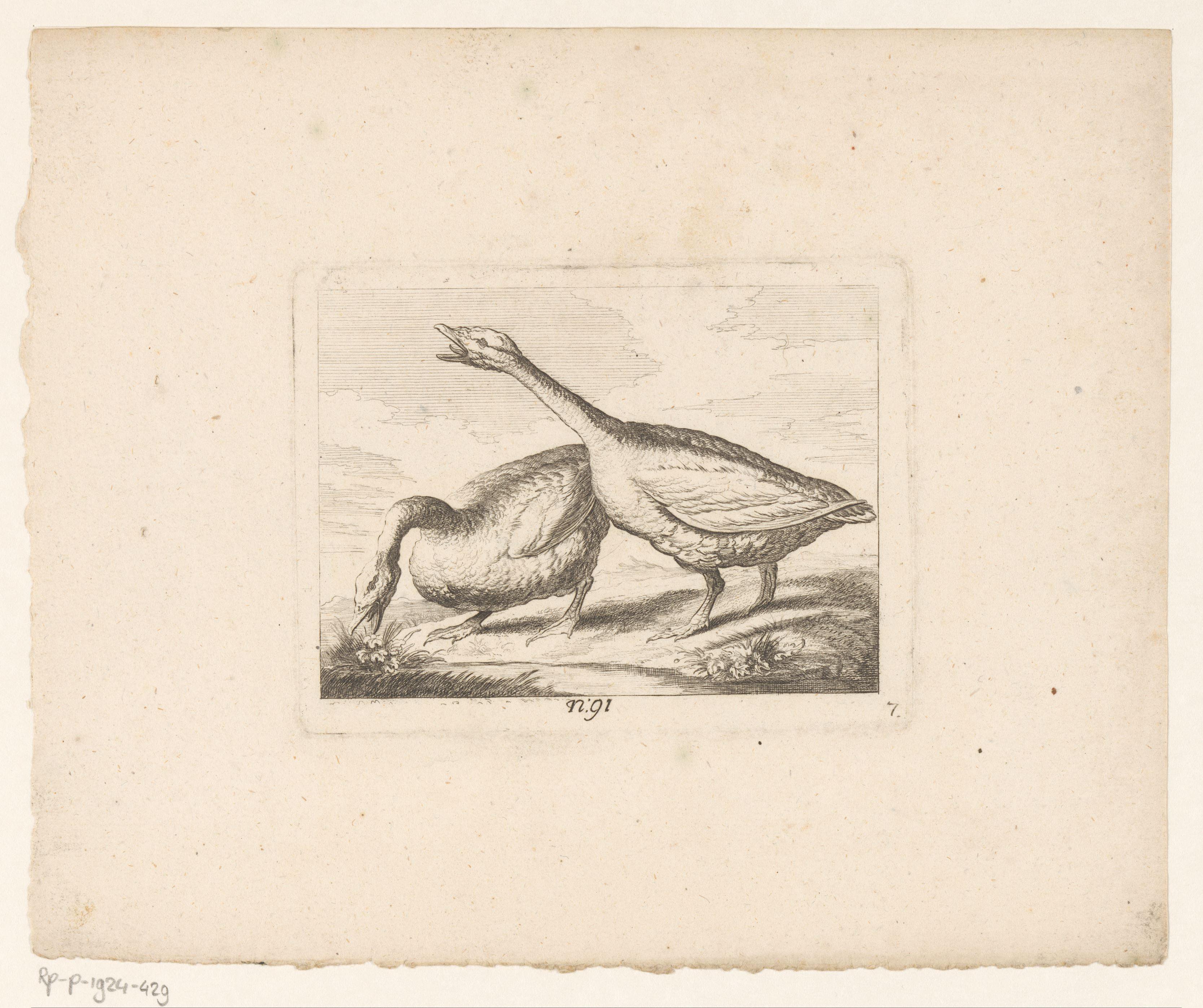 Landschap met twee ganzen