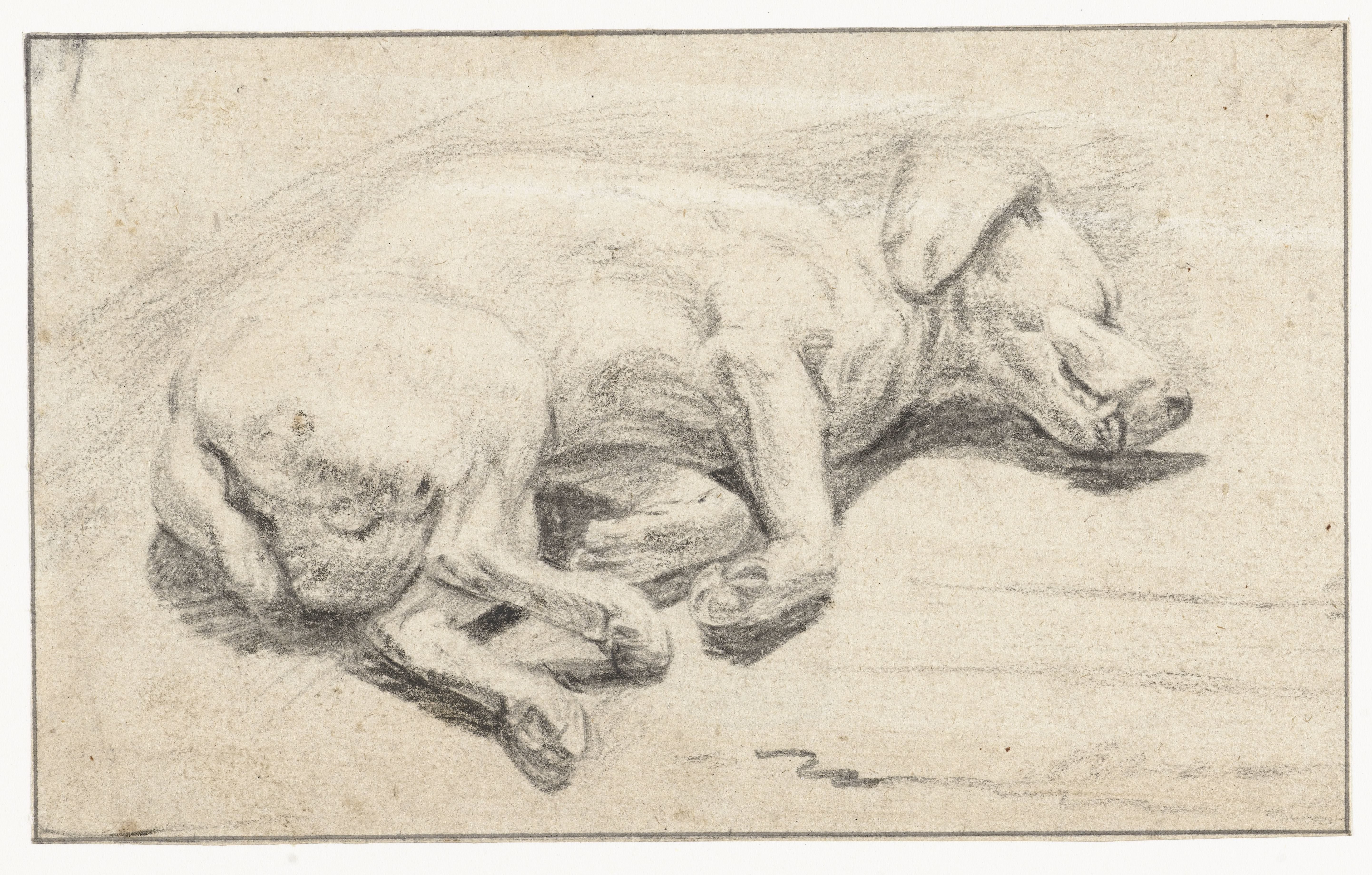 Liggende hond, slapend