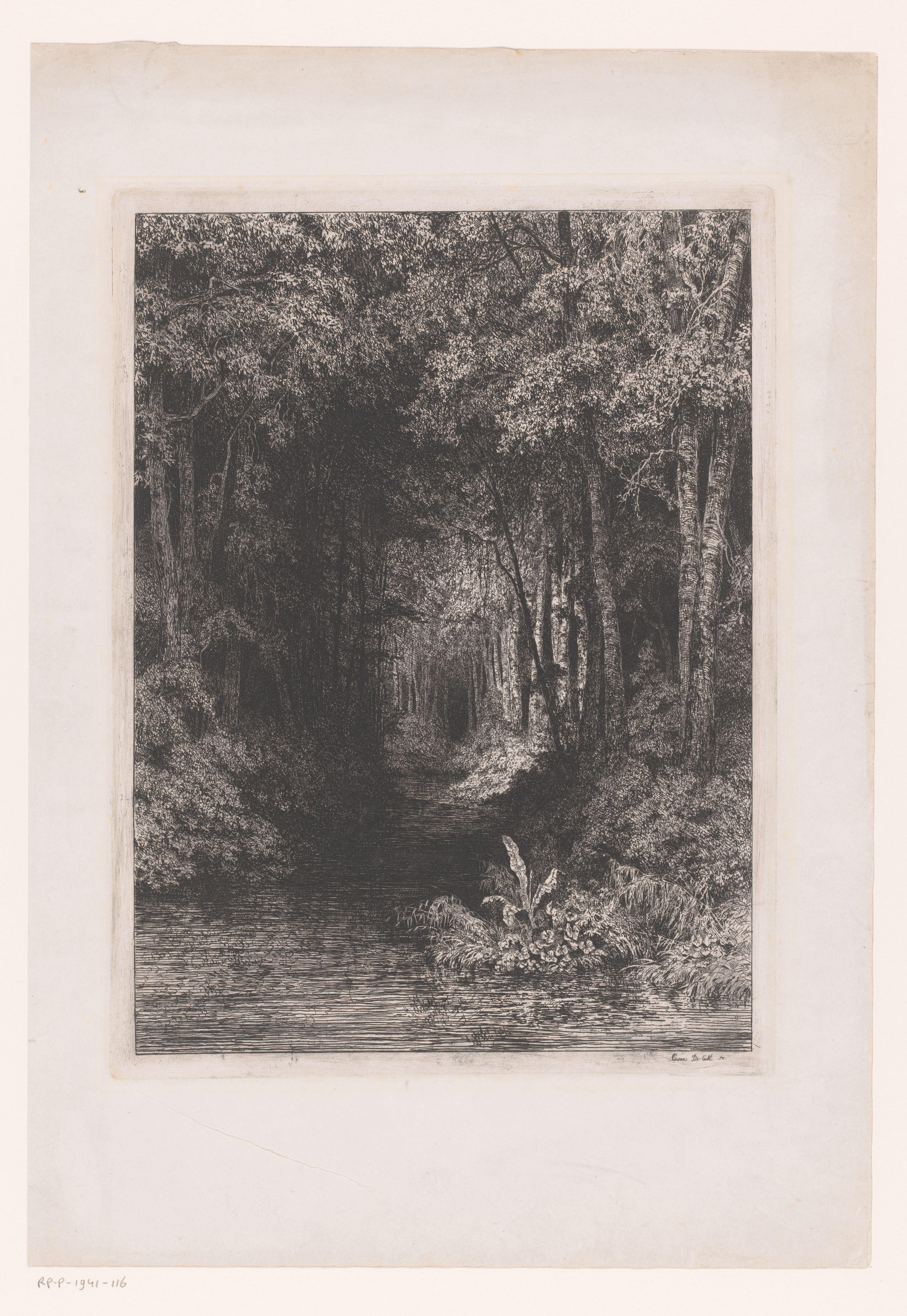 Beek door het bos