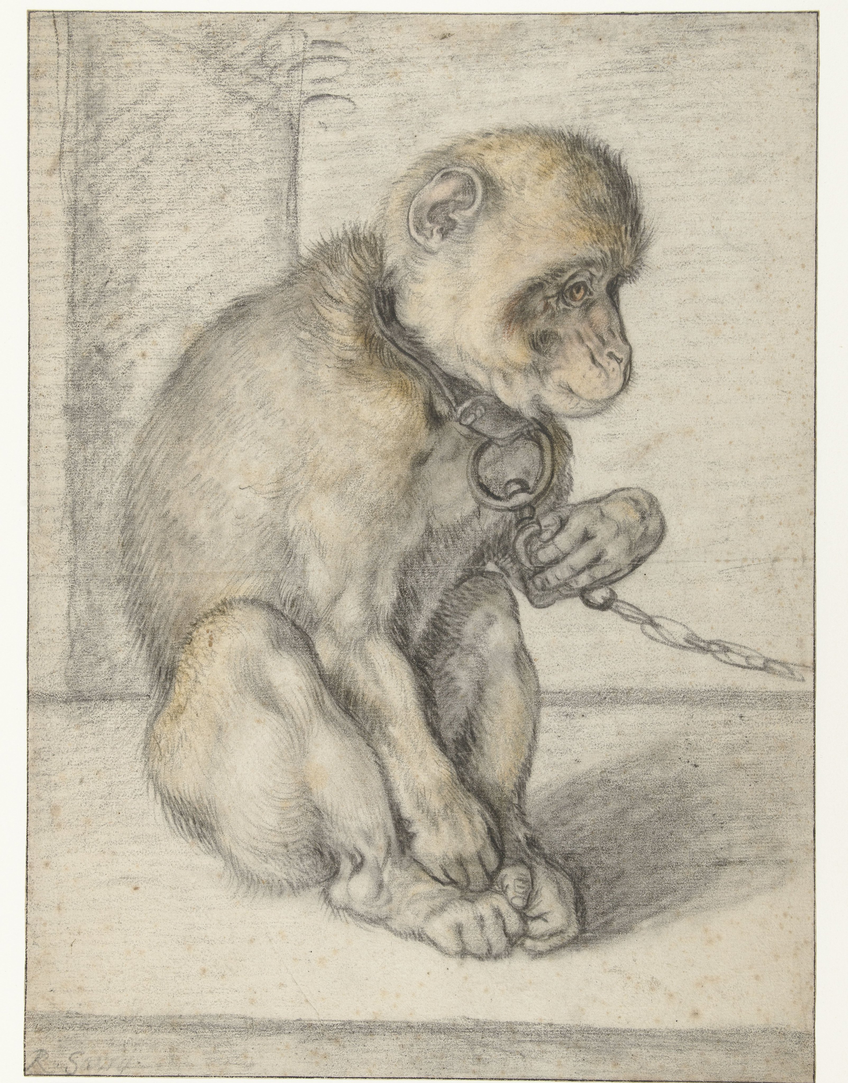 A Seated Monkey on a Chain