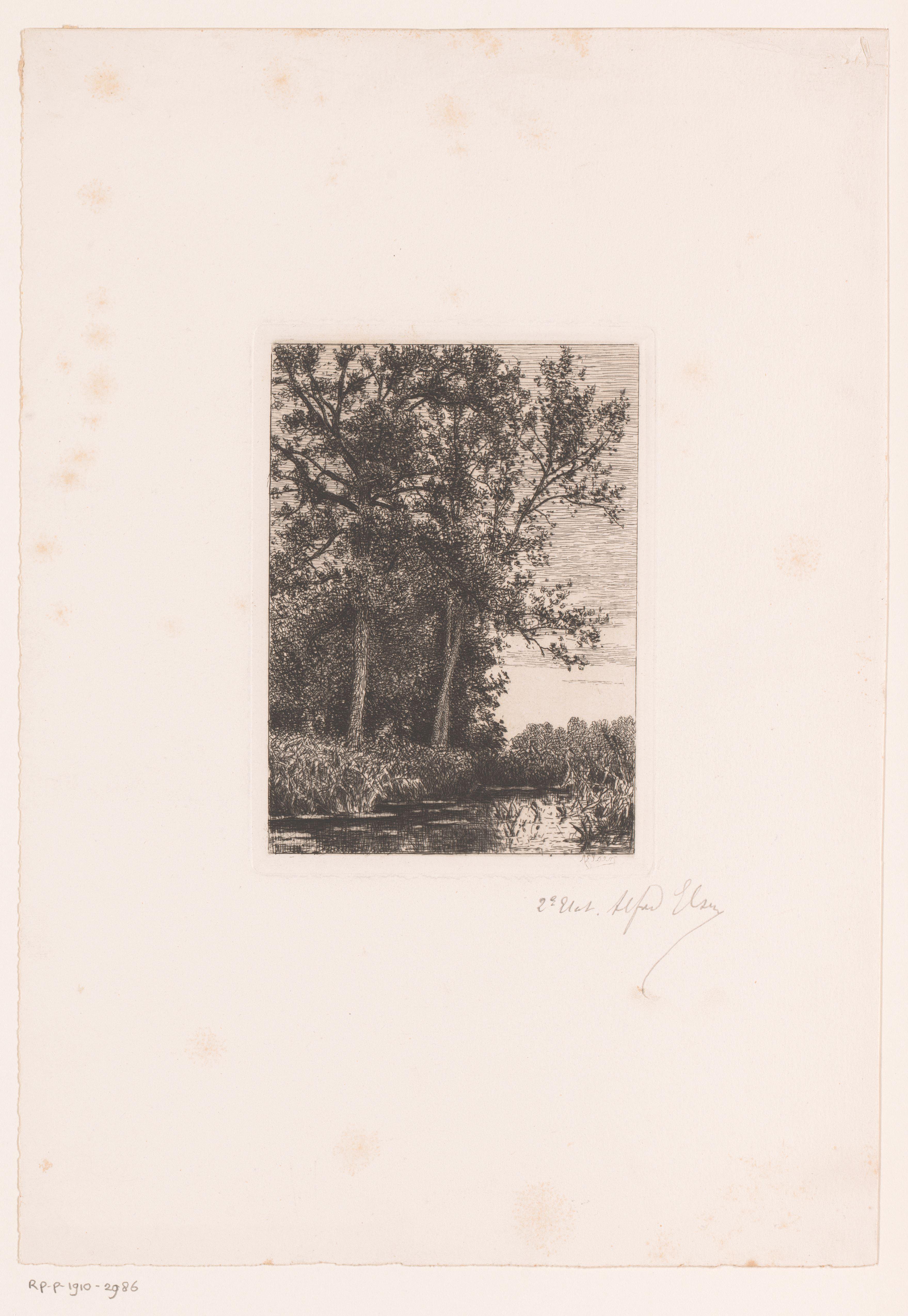 Landschap met bomen aan het water