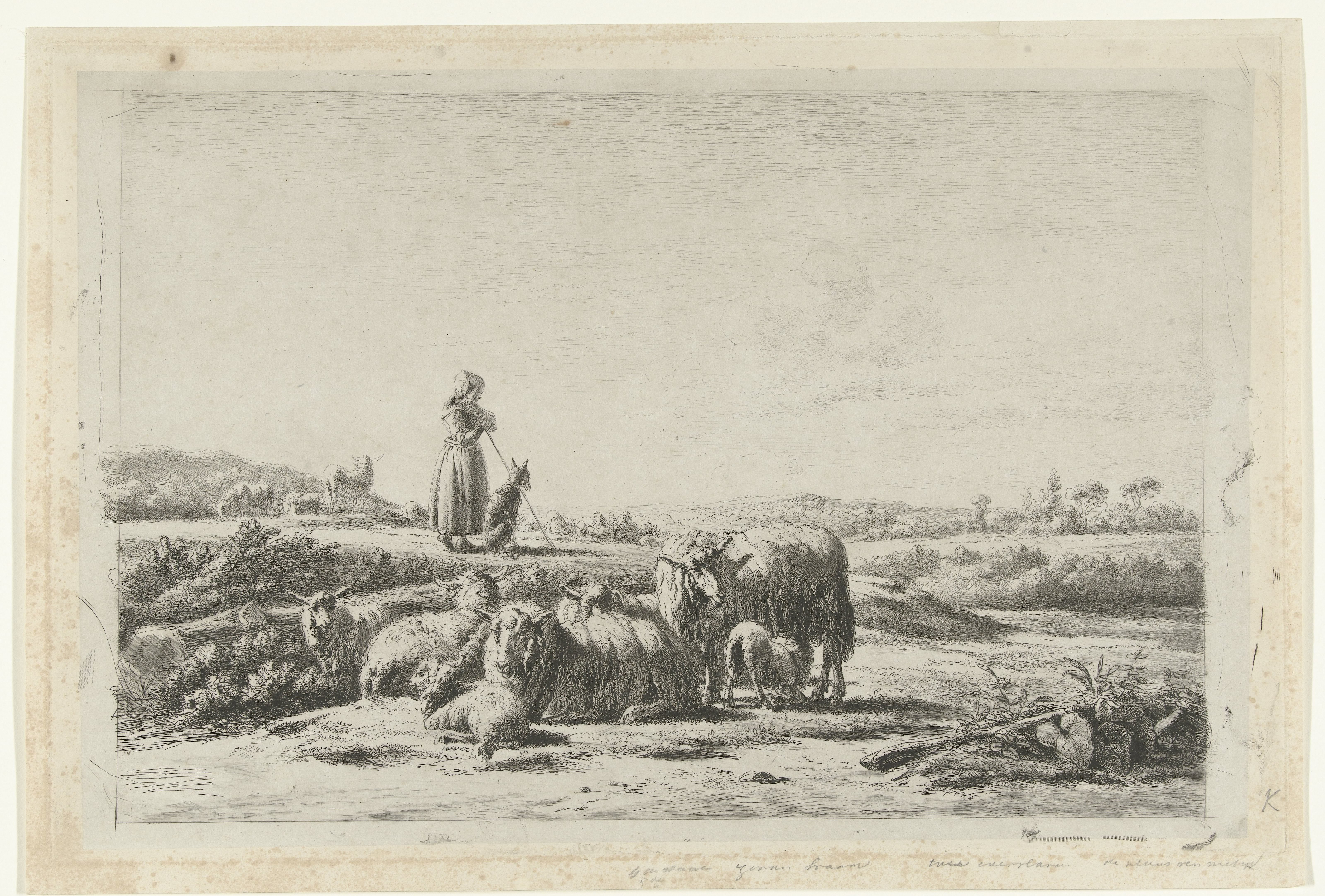 Landschap met herderin en hond bij kudde schapen