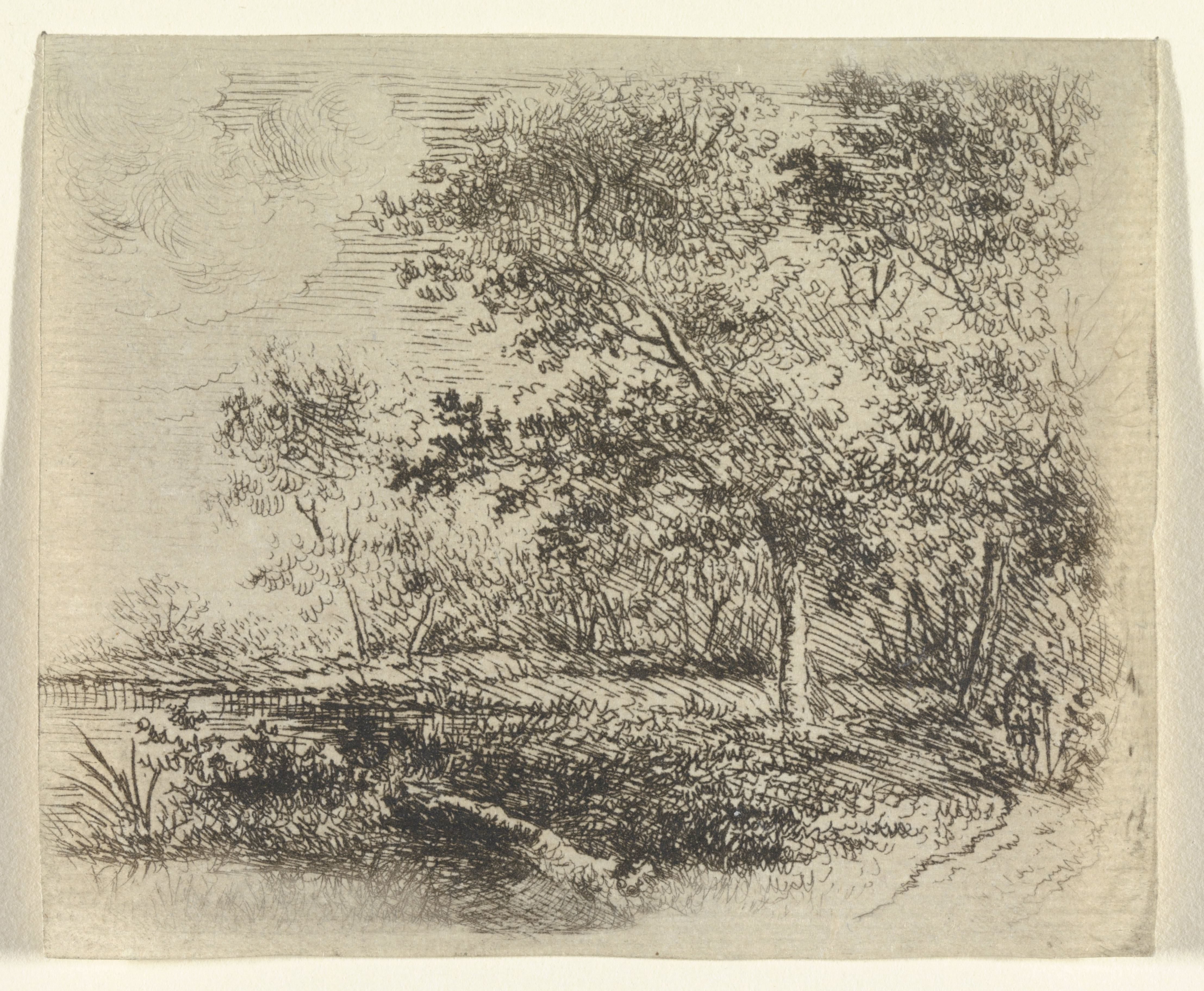 Boslandschap met meer