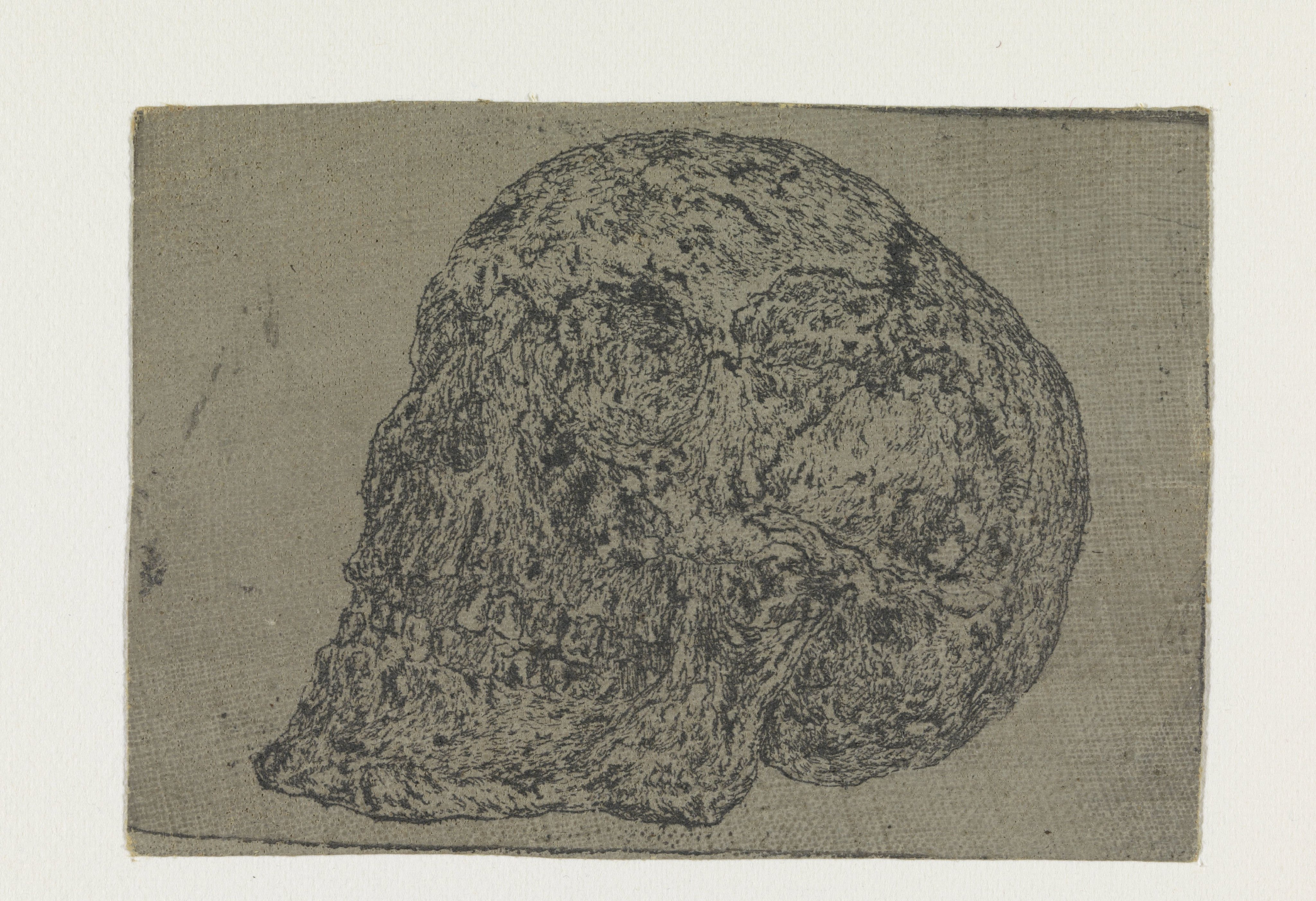 A Skull